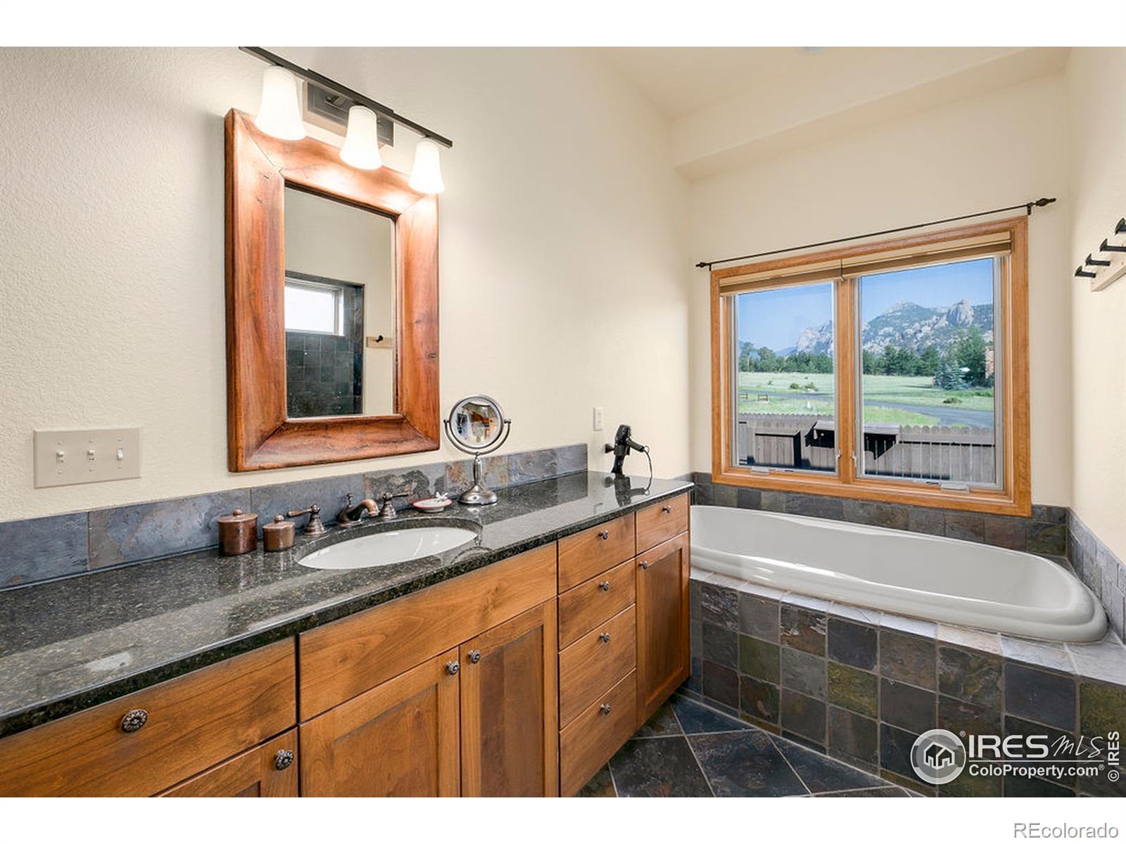 MLS Image #16 for 1090  elk trail court,estes park, Colorado