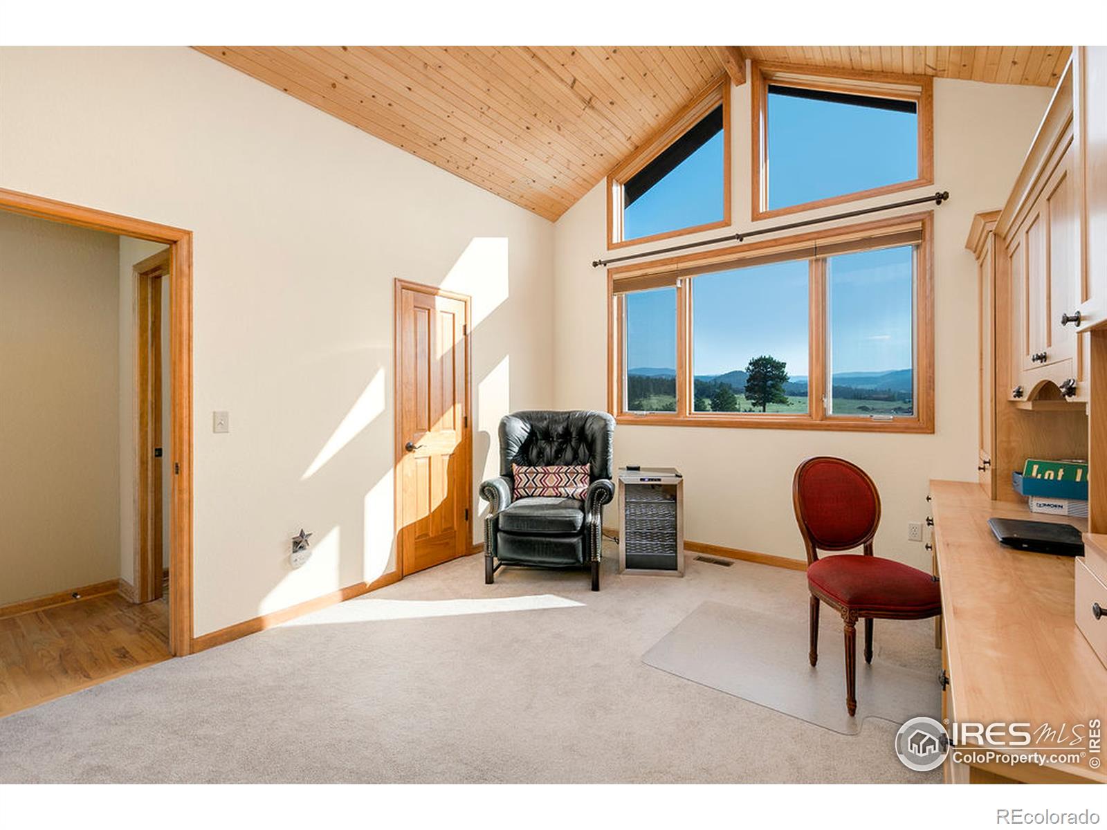 MLS Image #24 for 1090  elk trail court,estes park, Colorado