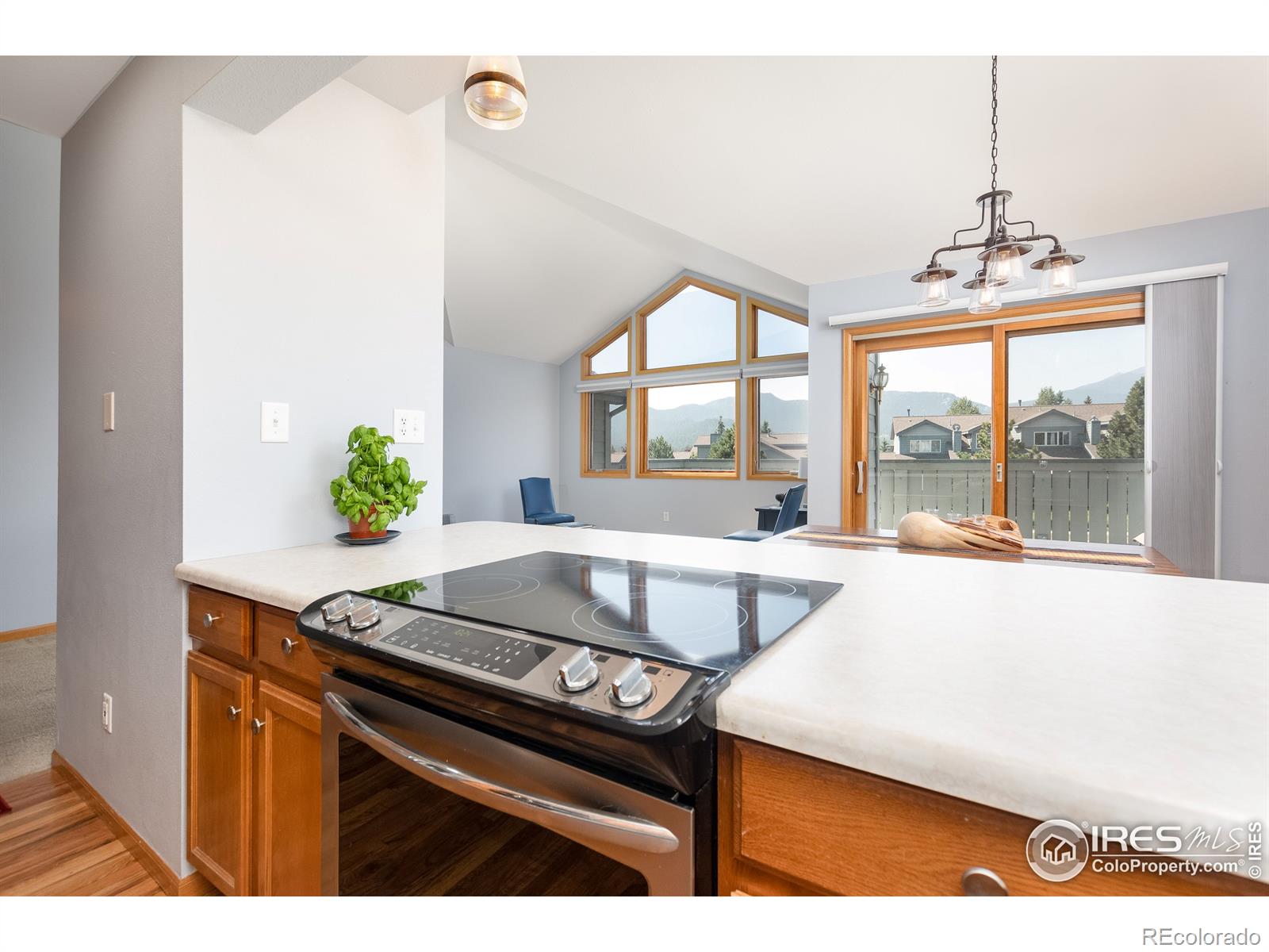 MLS Image #18 for 1555  raven circle,estes park, Colorado