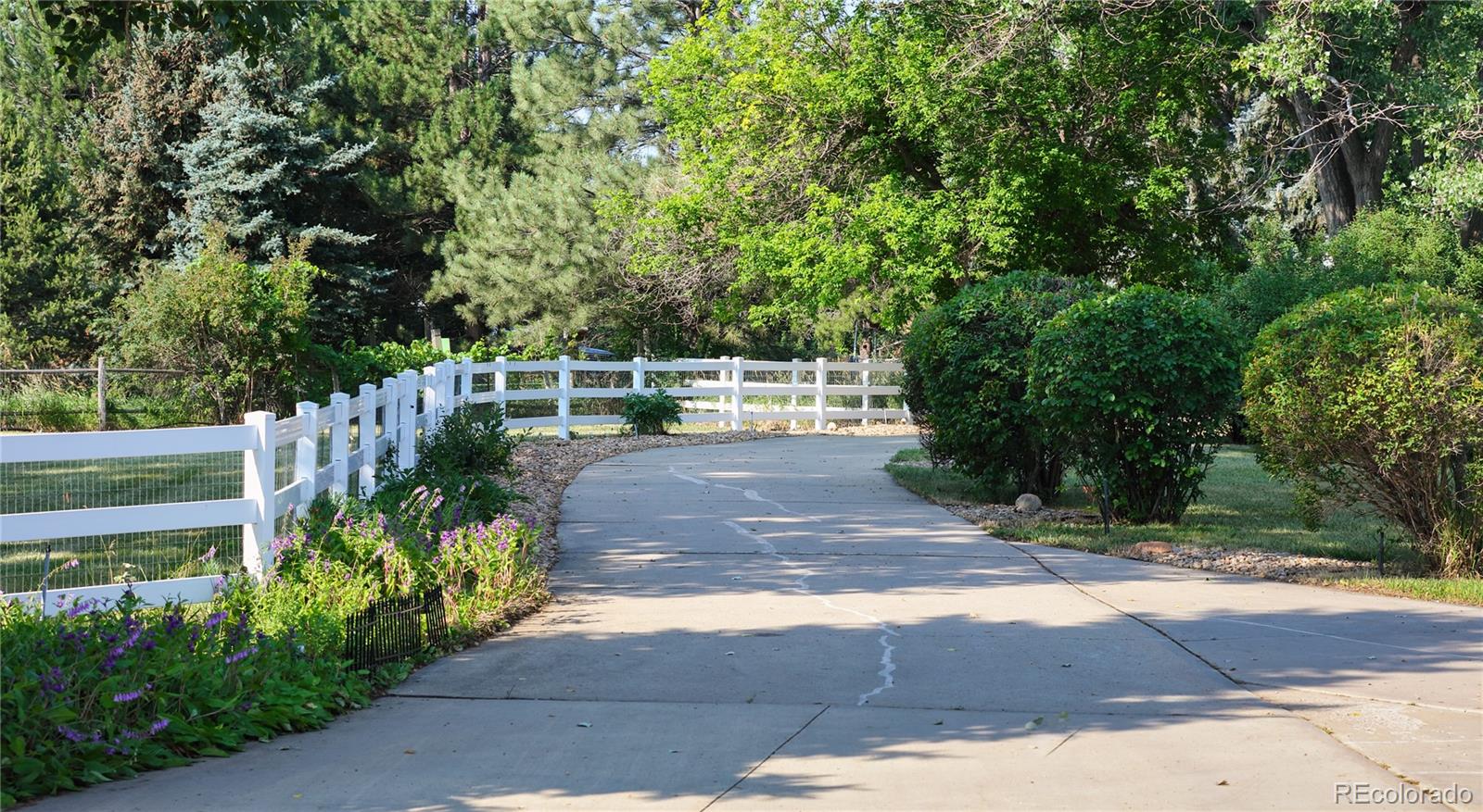 MLS Image #1 for 9362  tollgate drive,longmont, Colorado