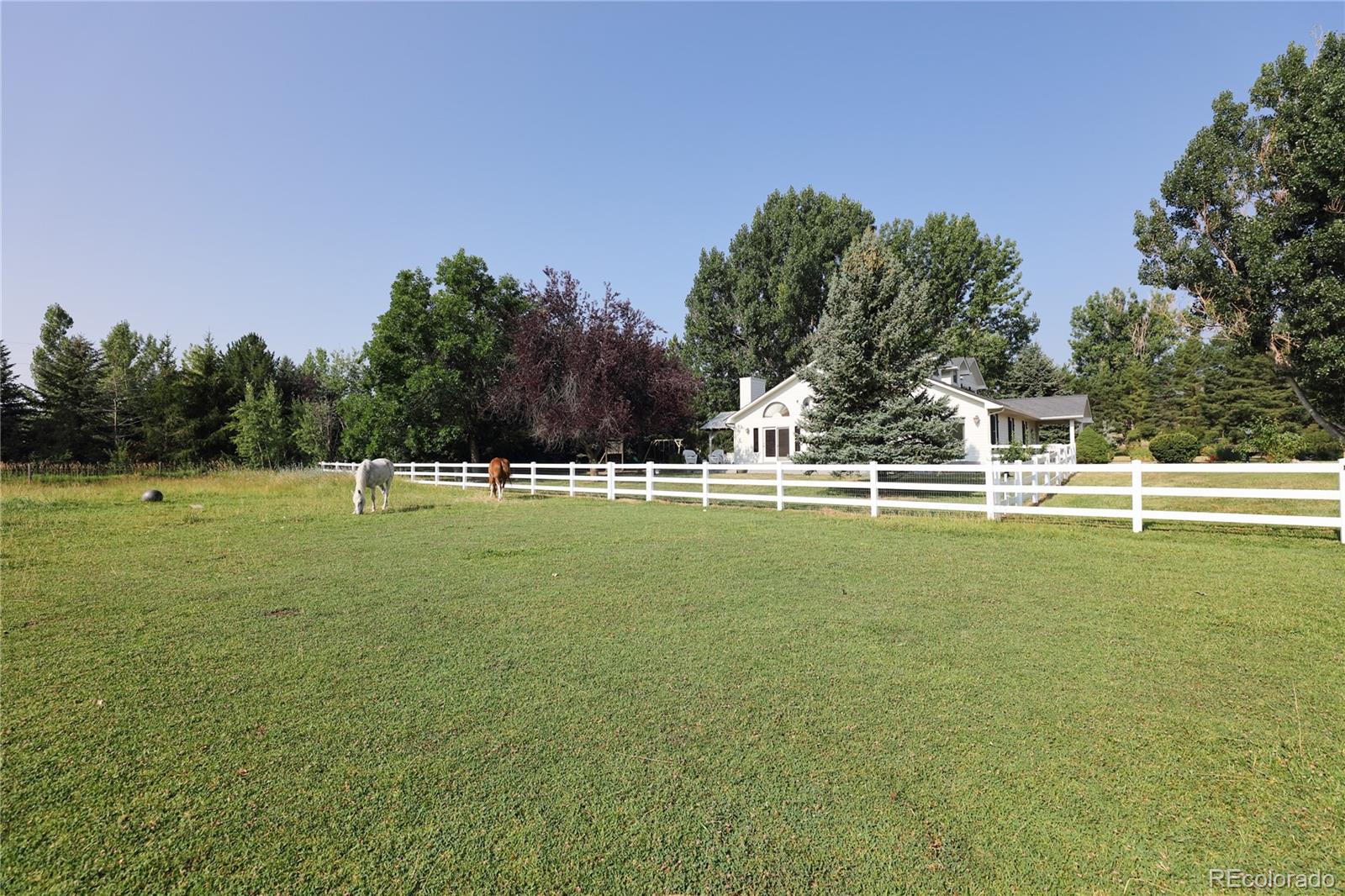MLS Image #10 for 9362  tollgate drive,longmont, Colorado