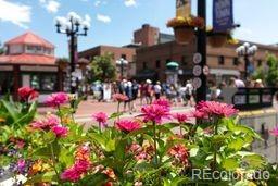 MLS Image #28 for 9362  tollgate drive,longmont, Colorado