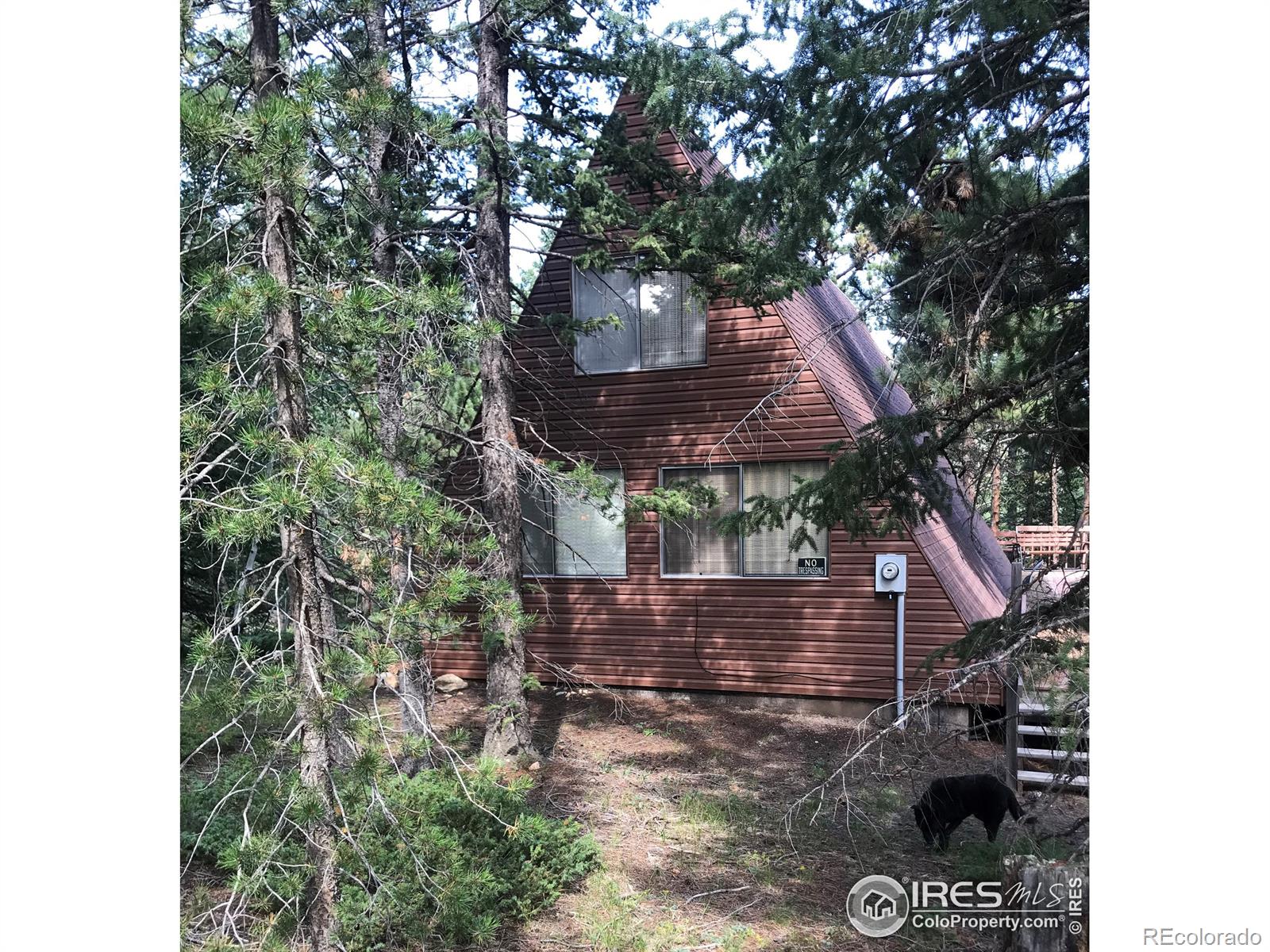 MLS Image #0 for 1178  pine glade road,nederland, Colorado