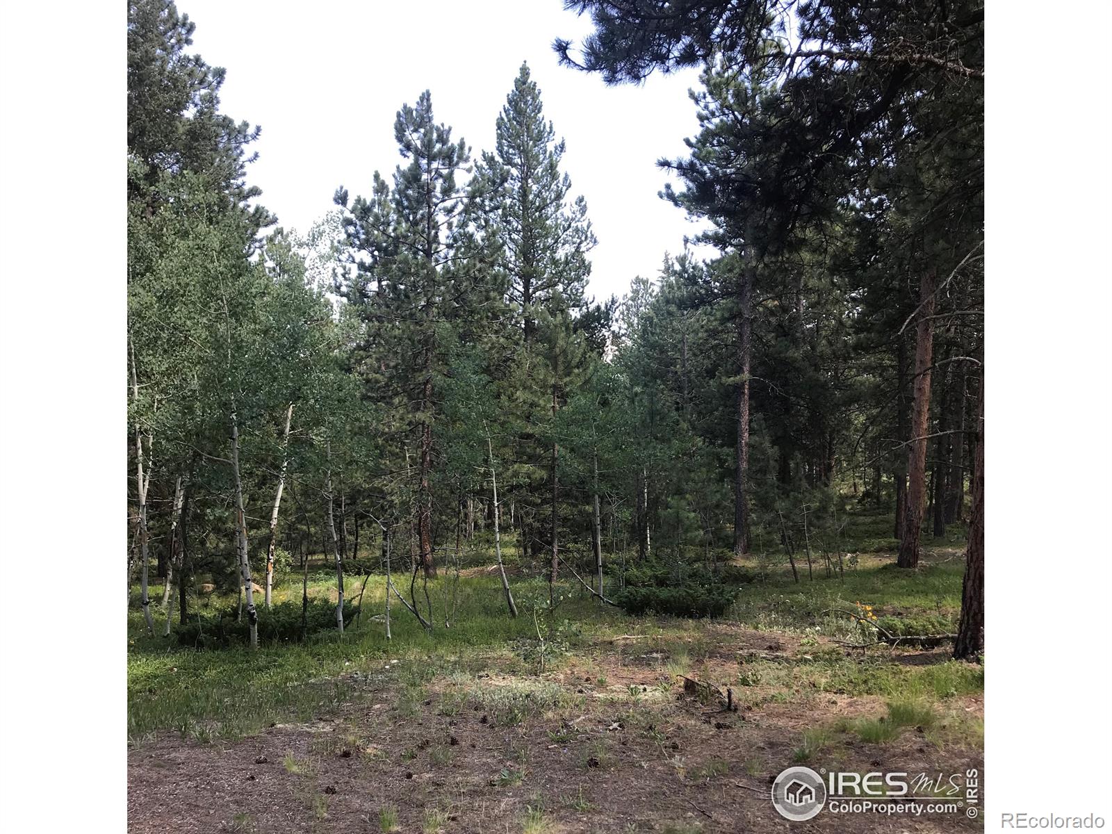 MLS Image #6 for 1178  pine glade road,nederland, Colorado