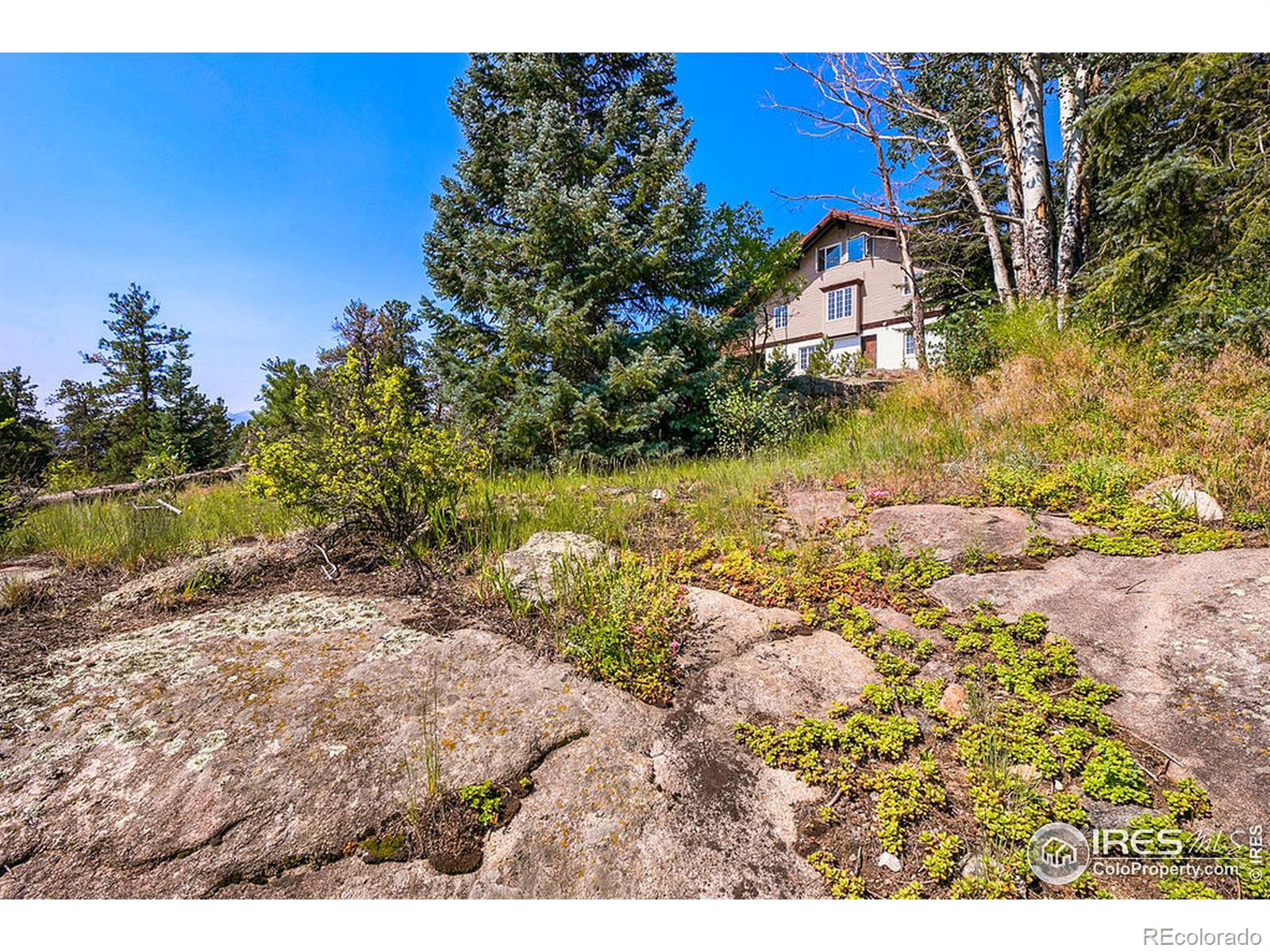 MLS Image #14 for 2115  mcgraw ranch road,estes park, Colorado
