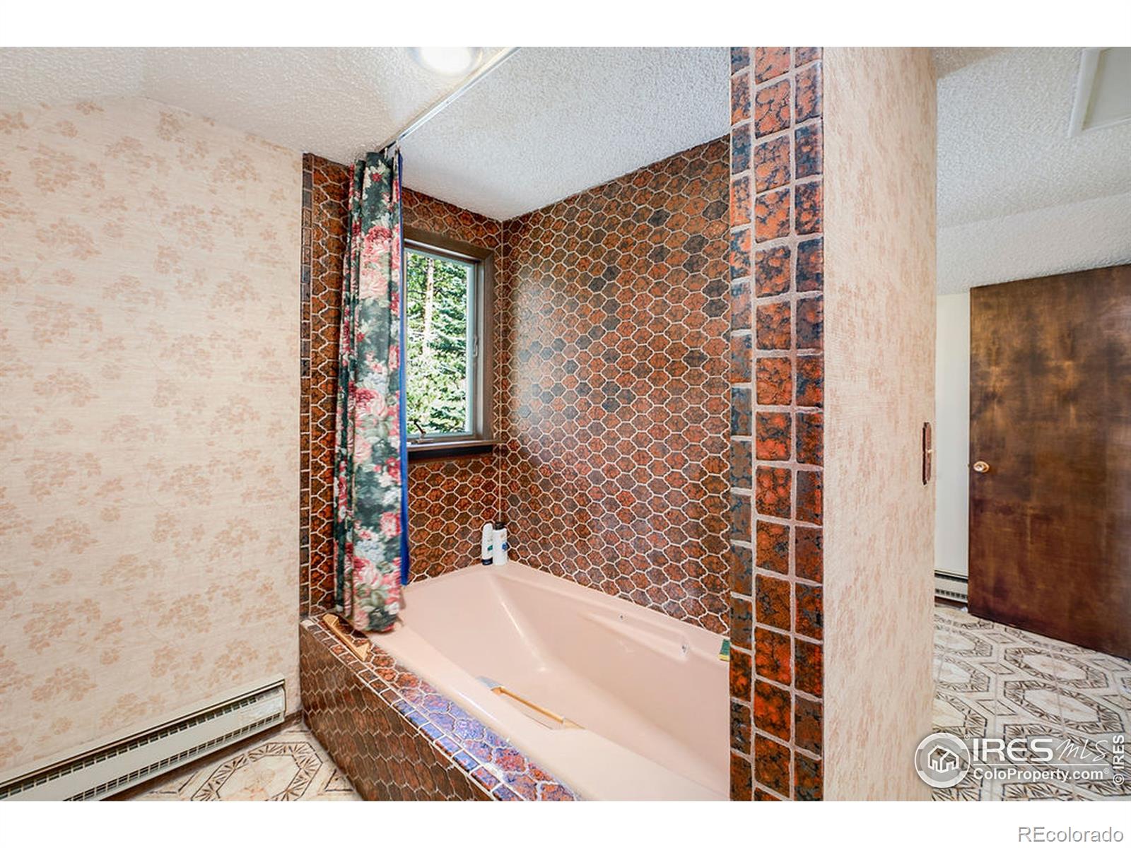 MLS Image #21 for 2115  mcgraw ranch road,estes park, Colorado
