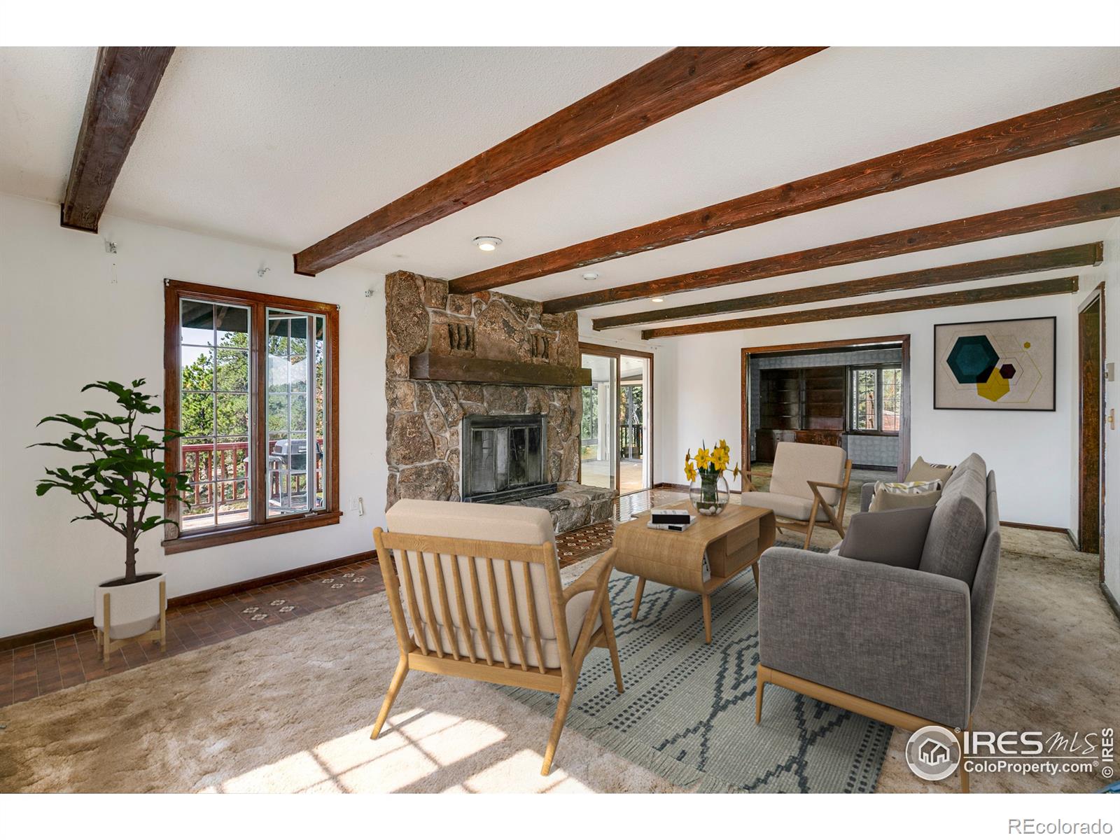 MLS Image #4 for 2115  mcgraw ranch road,estes park, Colorado