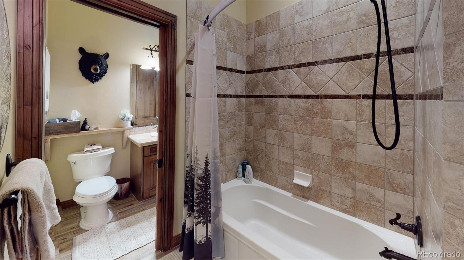 MLS Image #34 for 195  highline crossing,silverthorne, Colorado