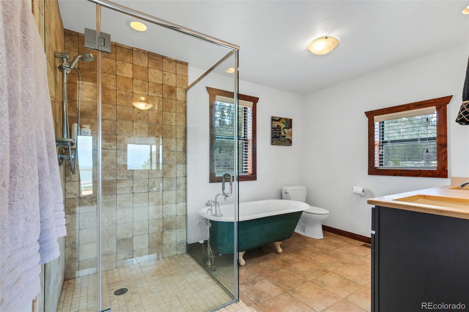 MLS Image #18 for 382  grand county road 863 ,tabernash, Colorado