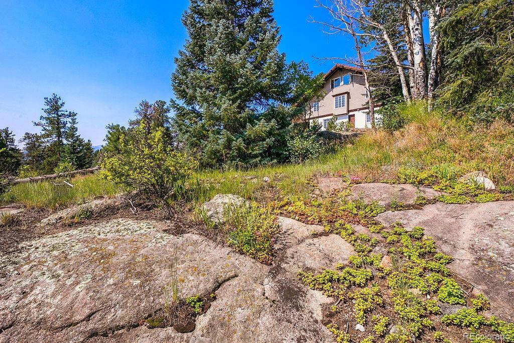 MLS Image #14 for 2115  mcgraw ranch road,estes park, Colorado
