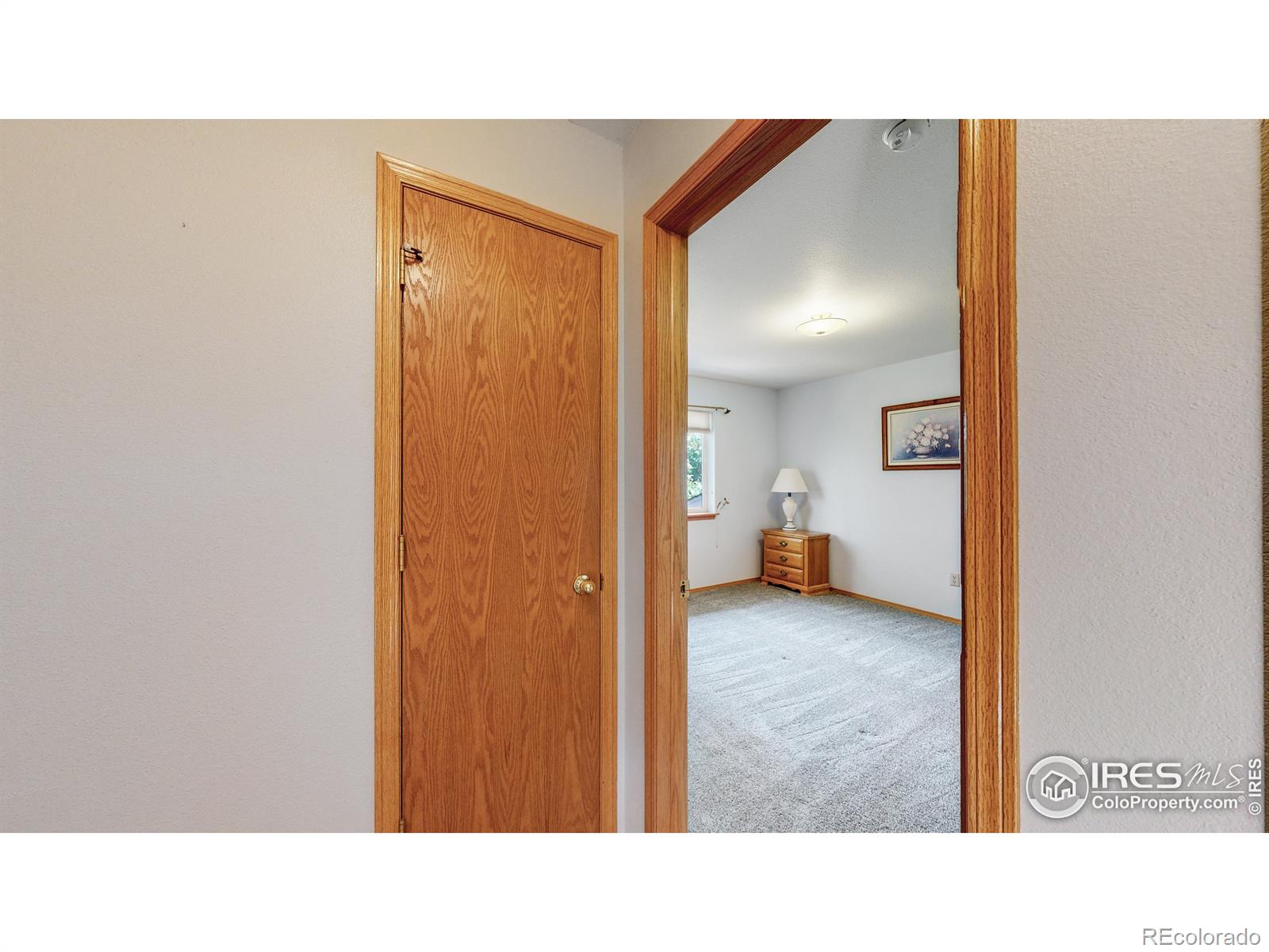 MLS Image #20 for 407  lakeview drive,severance, Colorado