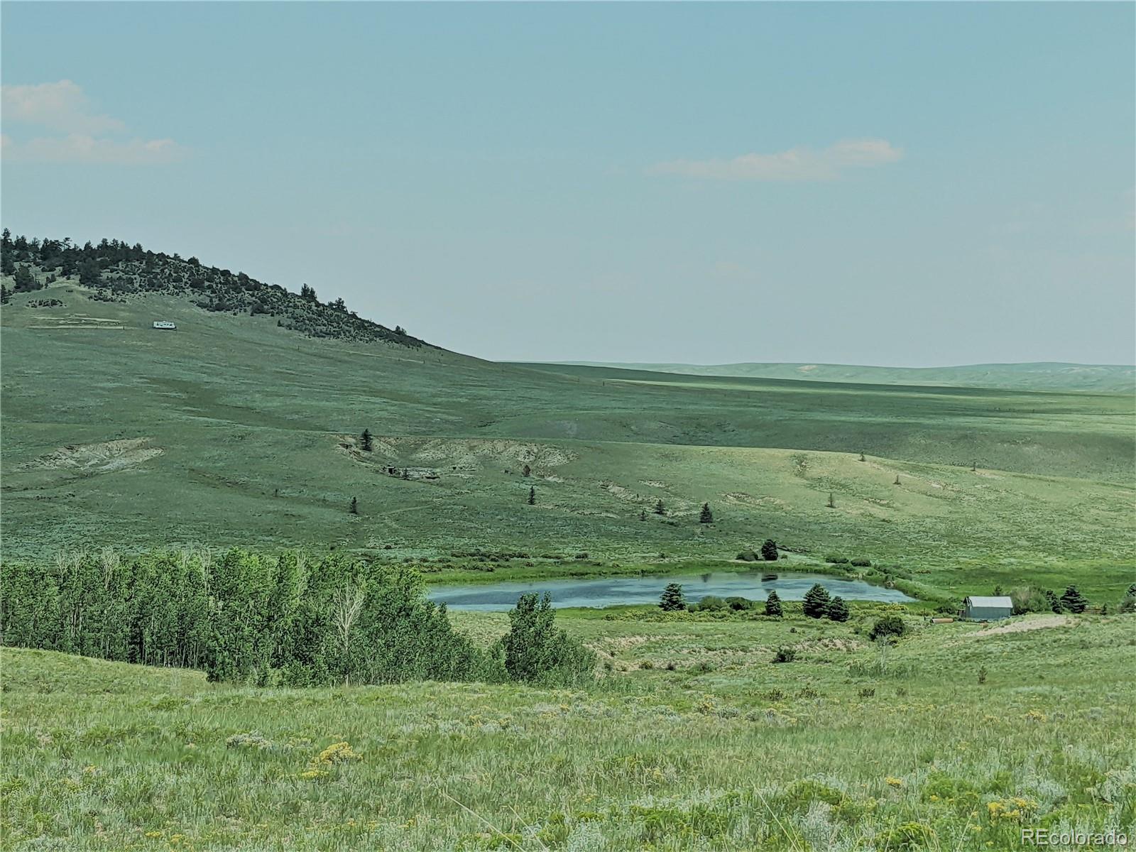 MLS Image #1 for 1332  frees loop,hartsel, Colorado
