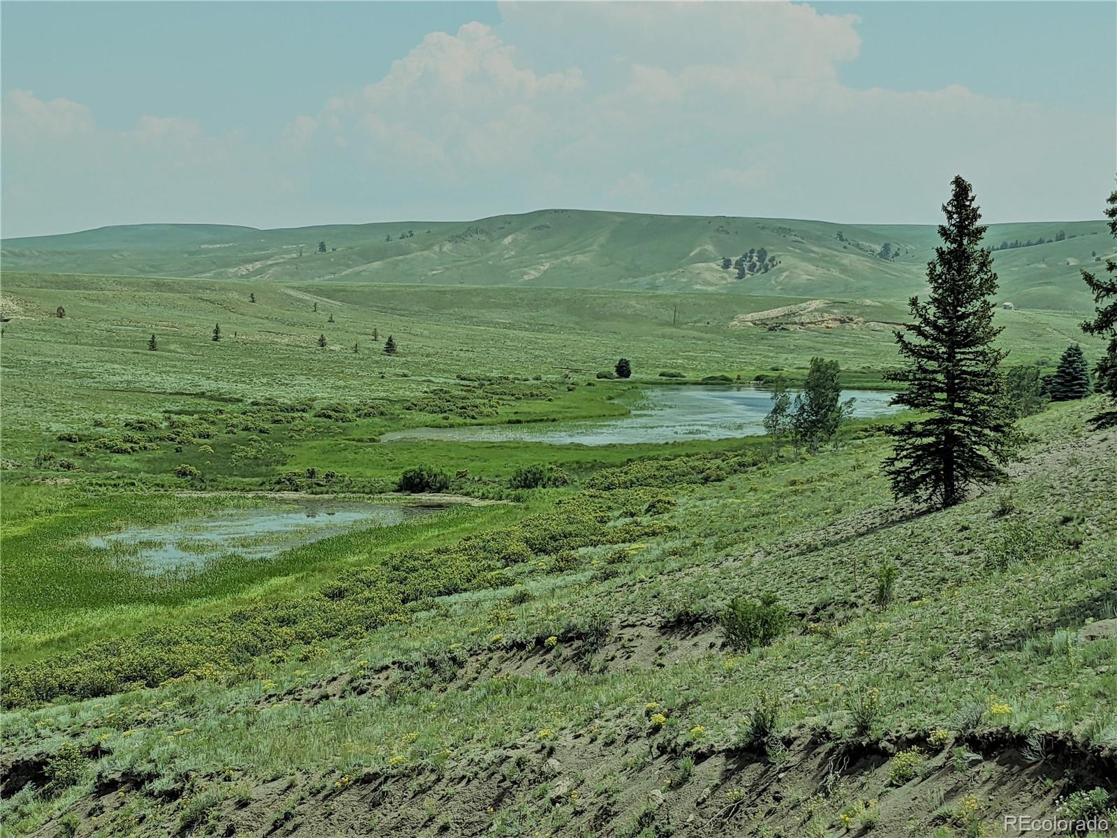 MLS Image #2 for 1332  frees loop,hartsel, Colorado