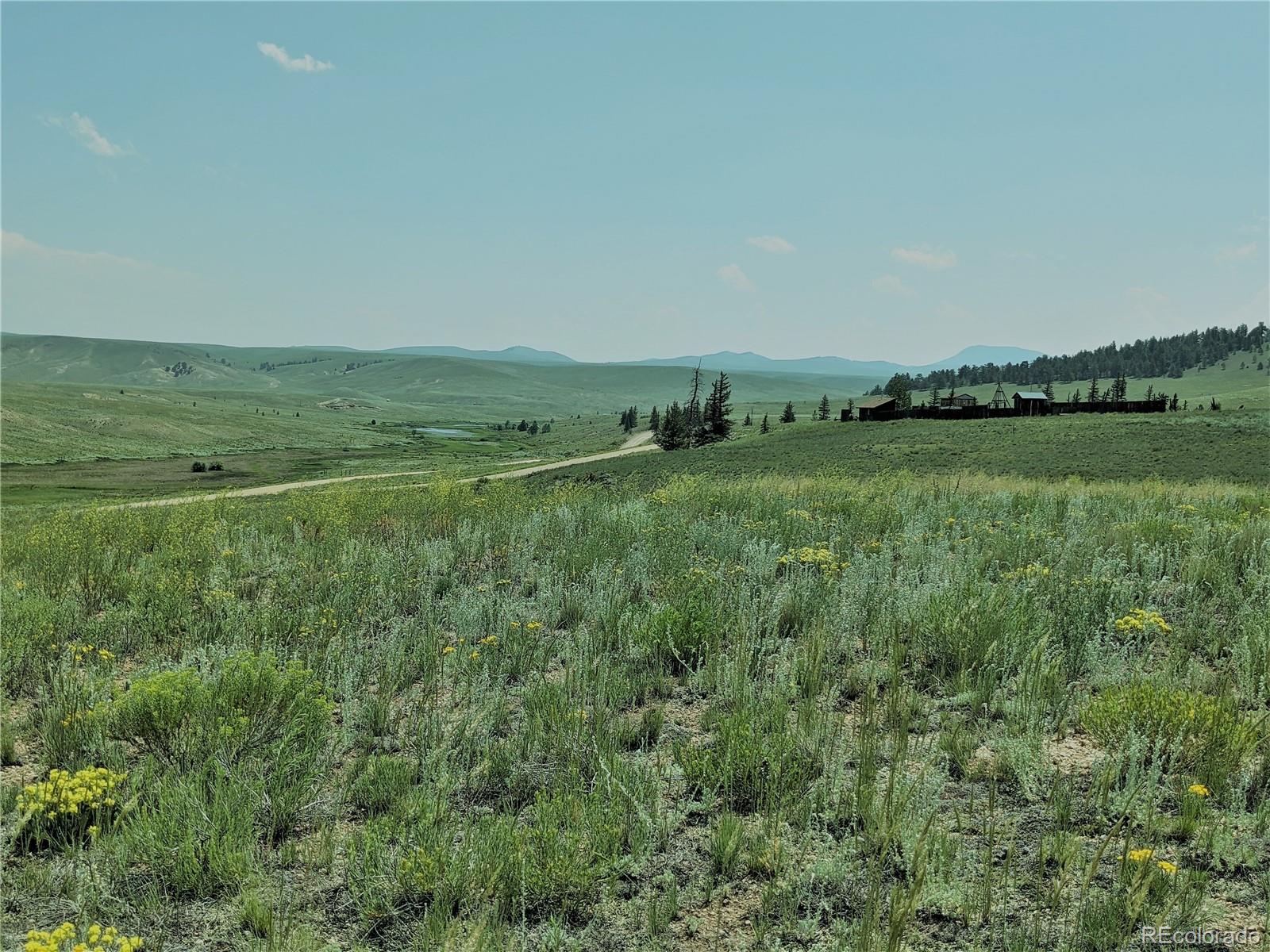 MLS Image #3 for 1332  frees loop,hartsel, Colorado