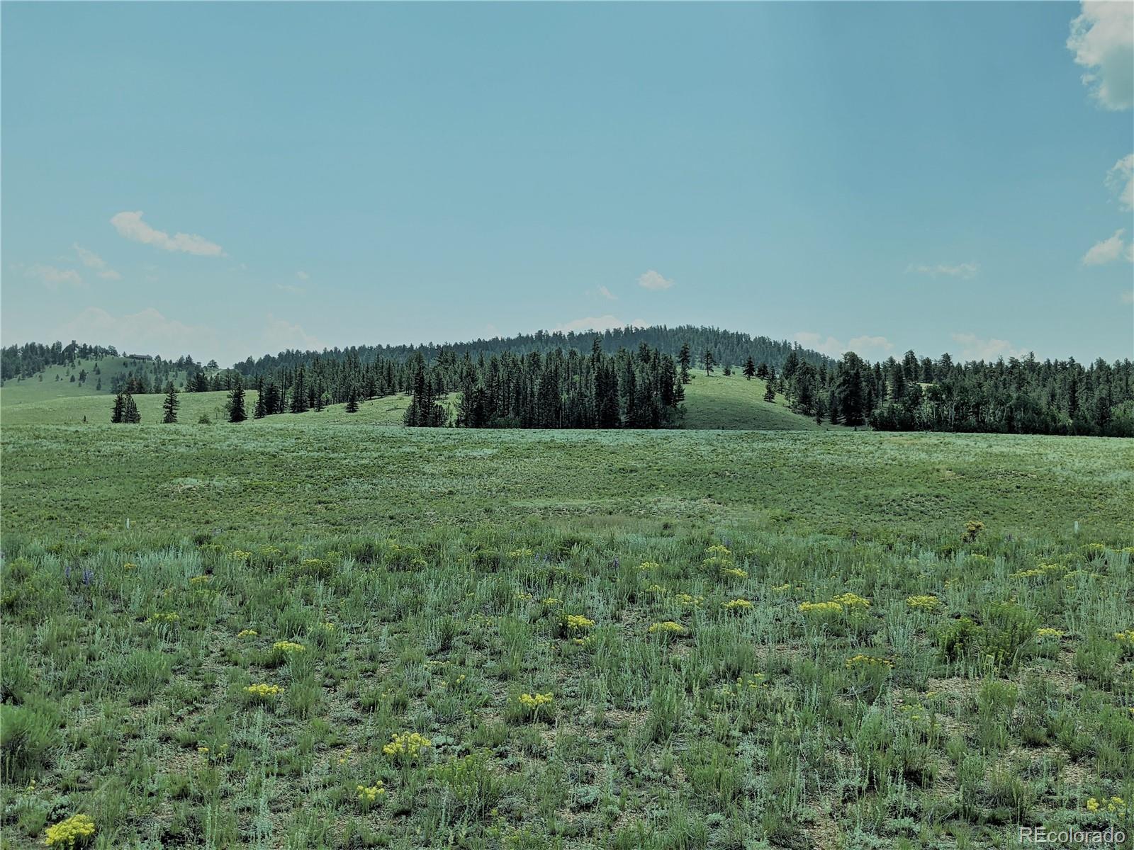 MLS Image #4 for 1332  frees loop,hartsel, Colorado
