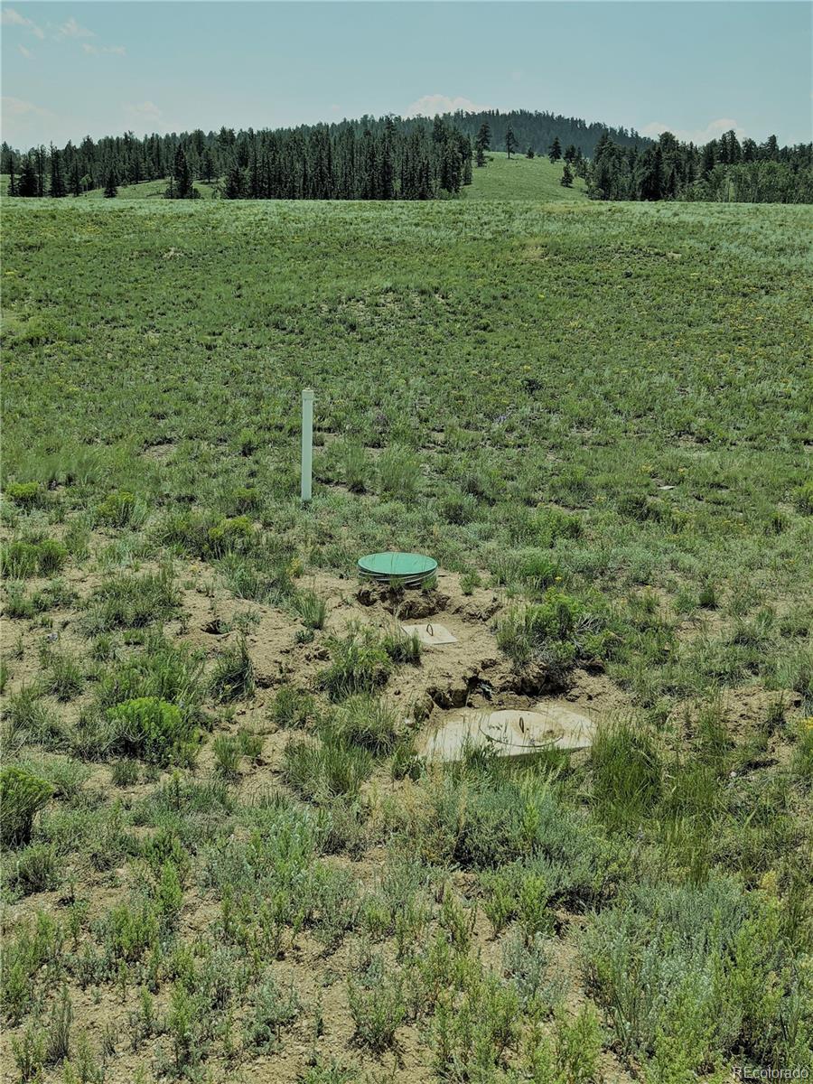 MLS Image #5 for 1332  frees loop,hartsel, Colorado