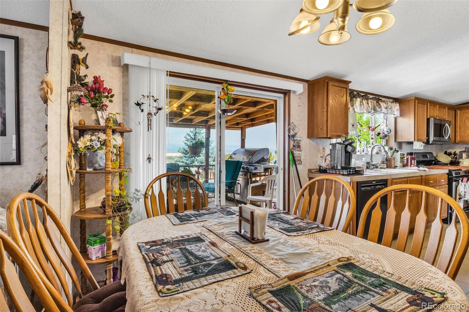 MLS Image #10 for 470  twin pines ,rockvale, Colorado