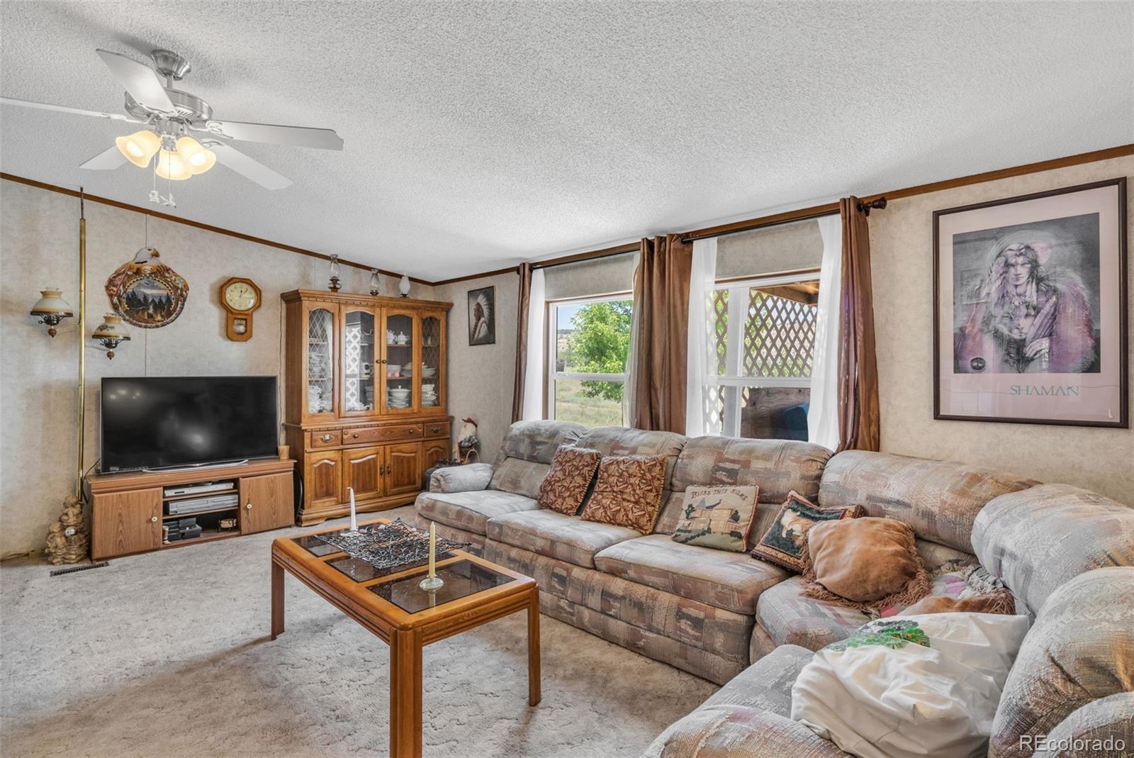 MLS Image #11 for 470  twin pines ,rockvale, Colorado