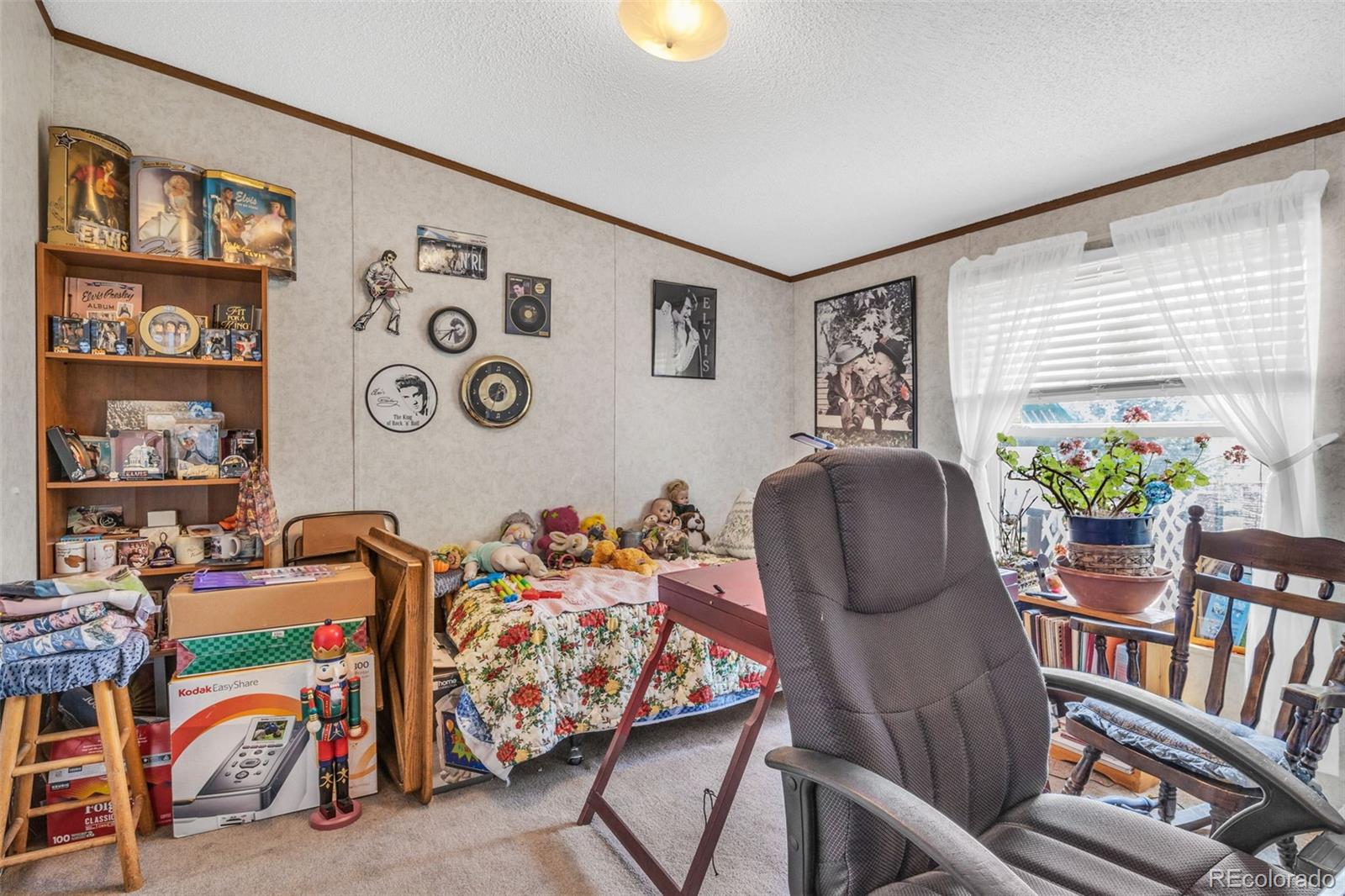 MLS Image #13 for 470  twin pines ,rockvale, Colorado