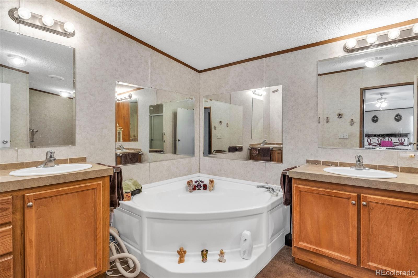 MLS Image #21 for 470  twin pines ,rockvale, Colorado