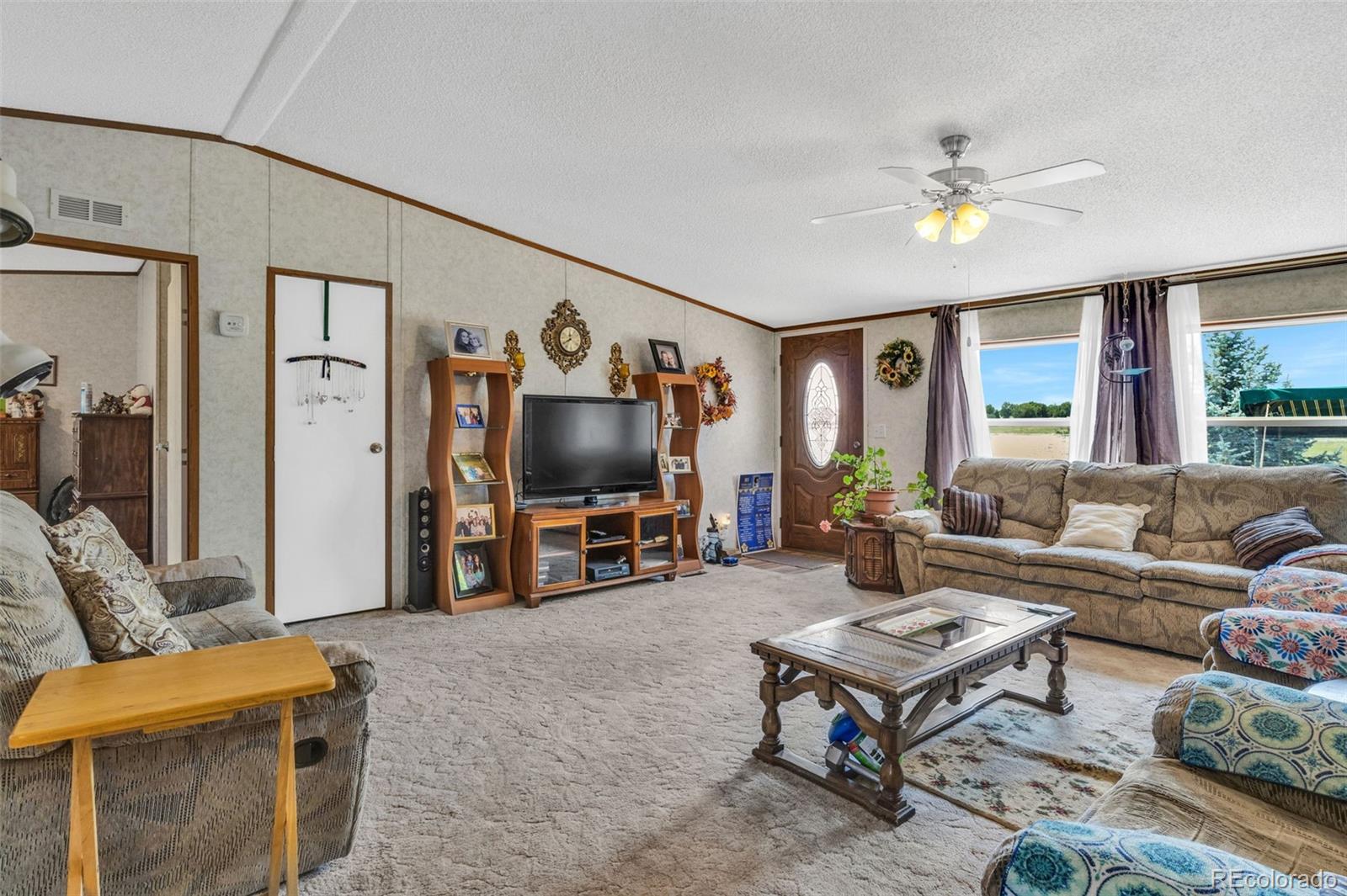 MLS Image #6 for 470  twin pines ,rockvale, Colorado