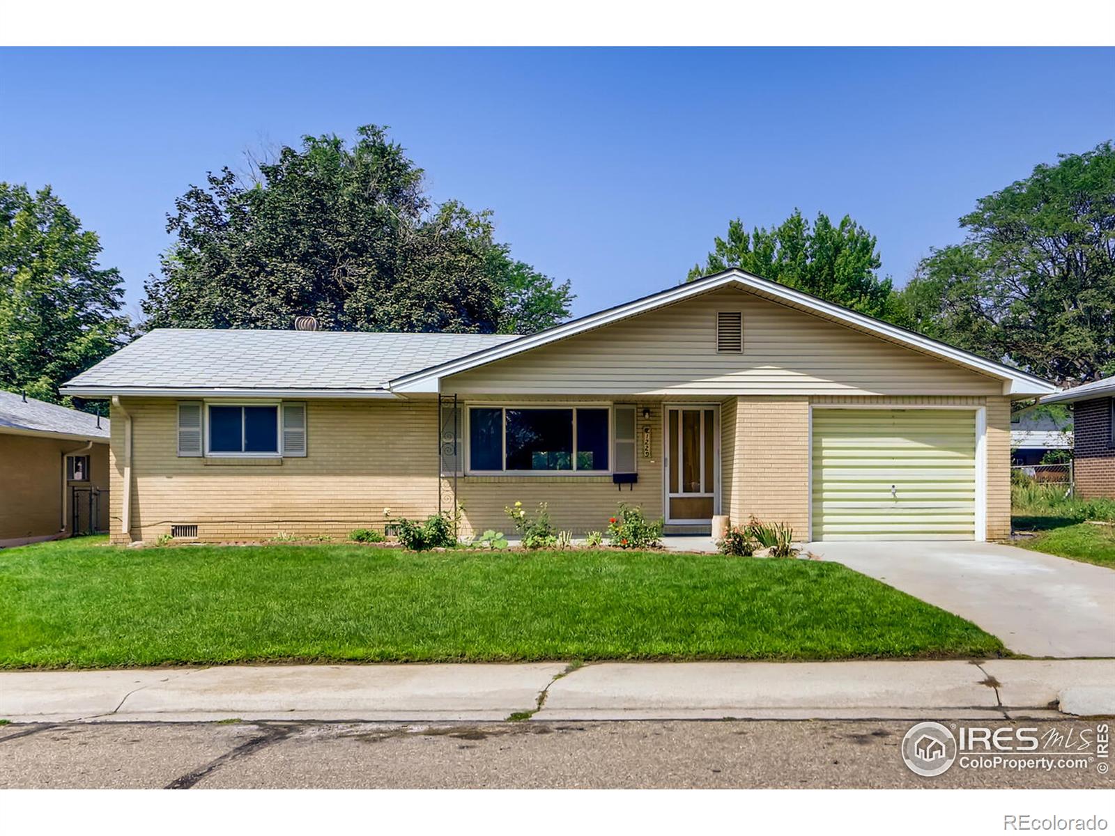 MLS Image #1 for 1229  linden street,longmont, Colorado