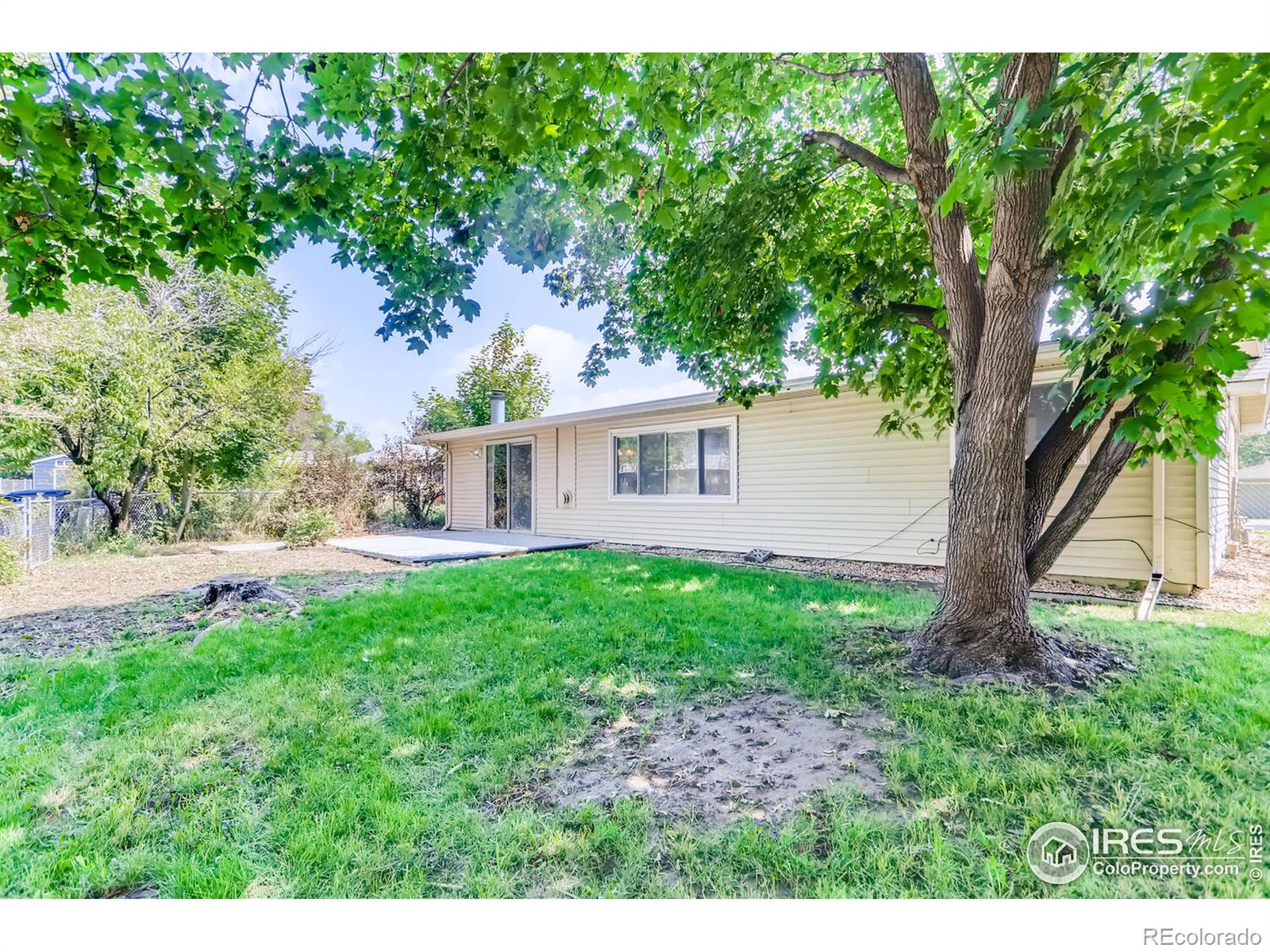 MLS Image #22 for 1229  linden street,longmont, Colorado