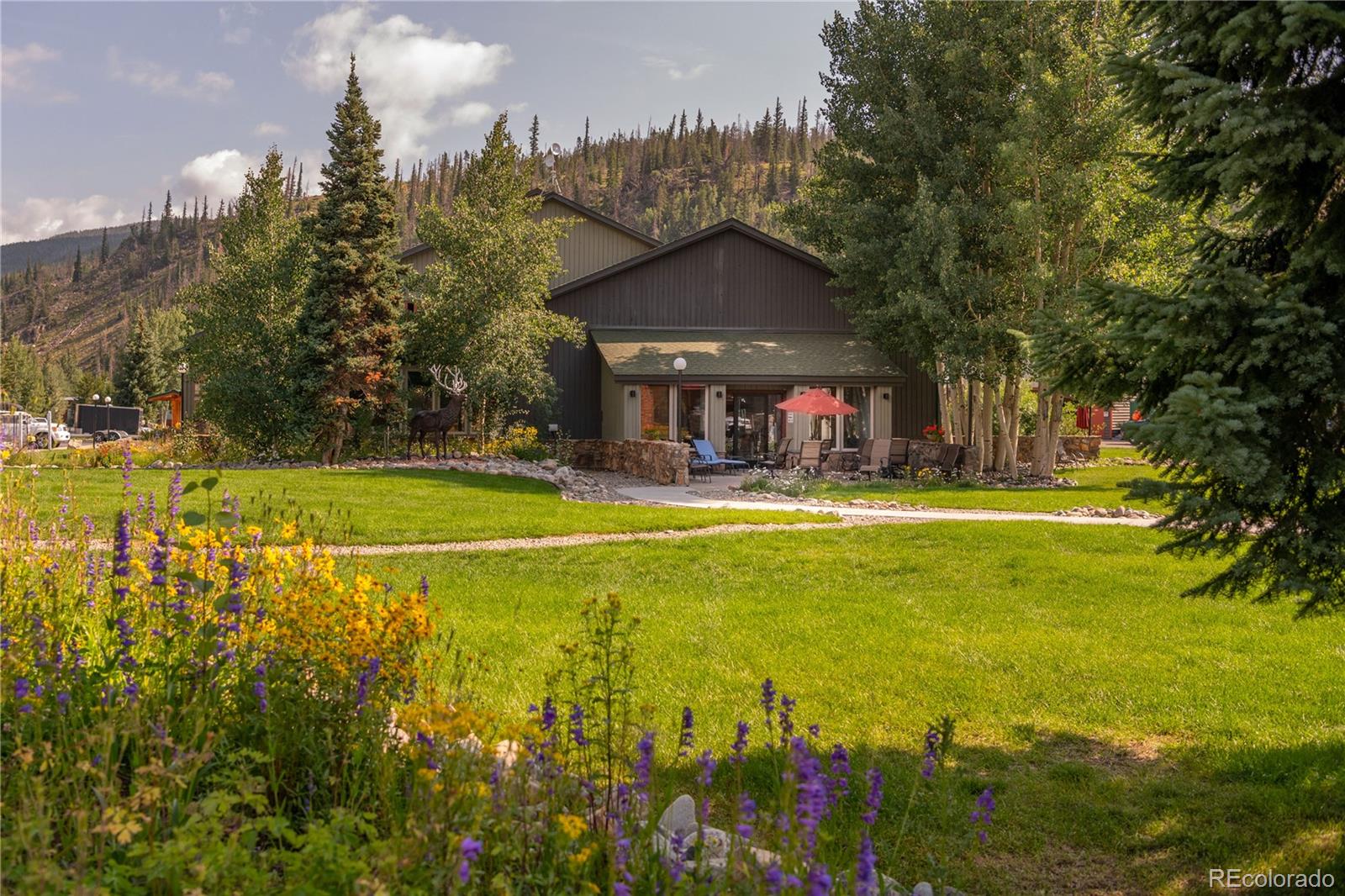 MLS Image #33 for 85  revett drive,breckenridge, Colorado