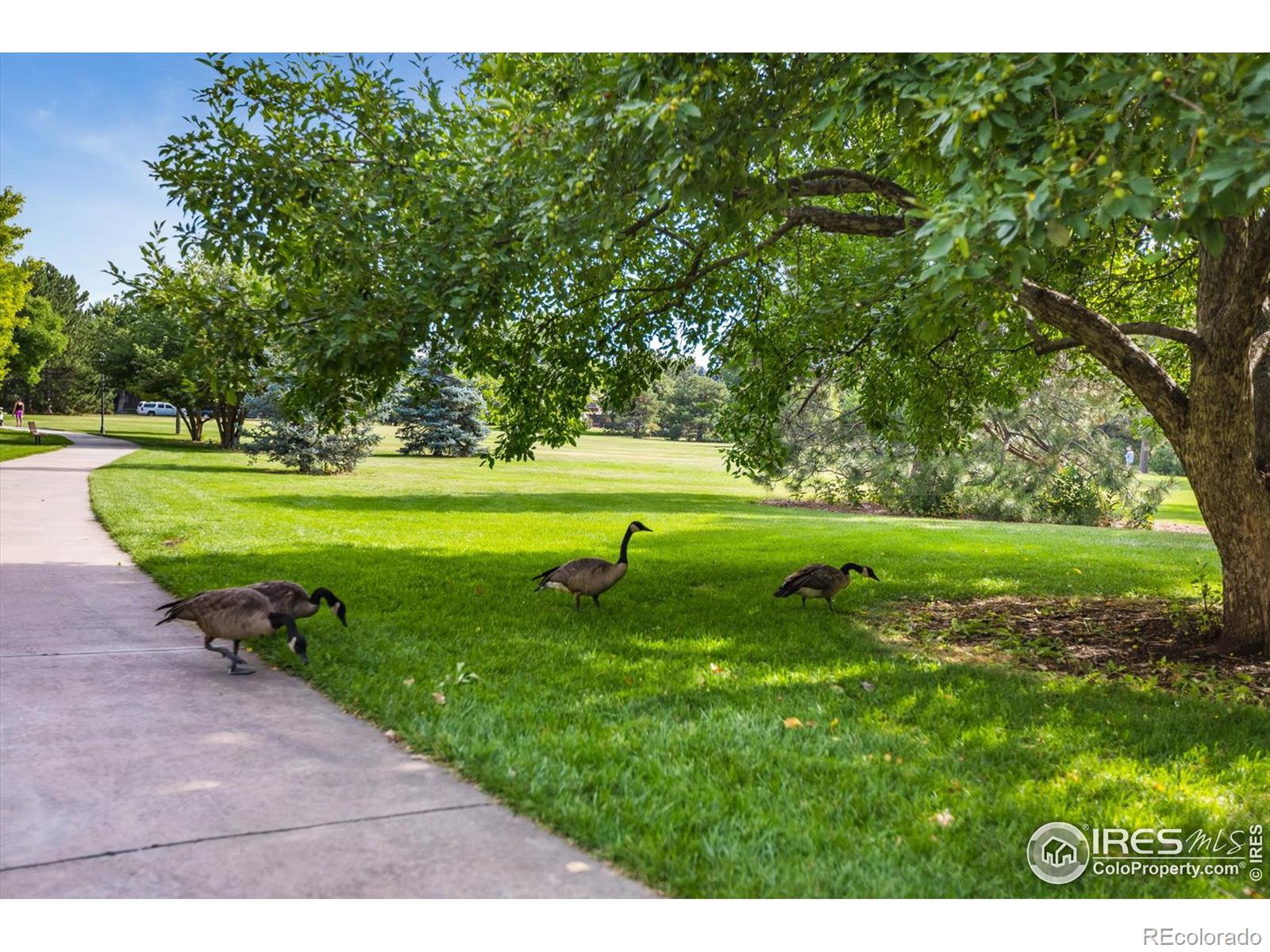 MLS Image #19 for 576 s carr street,lakewood, Colorado