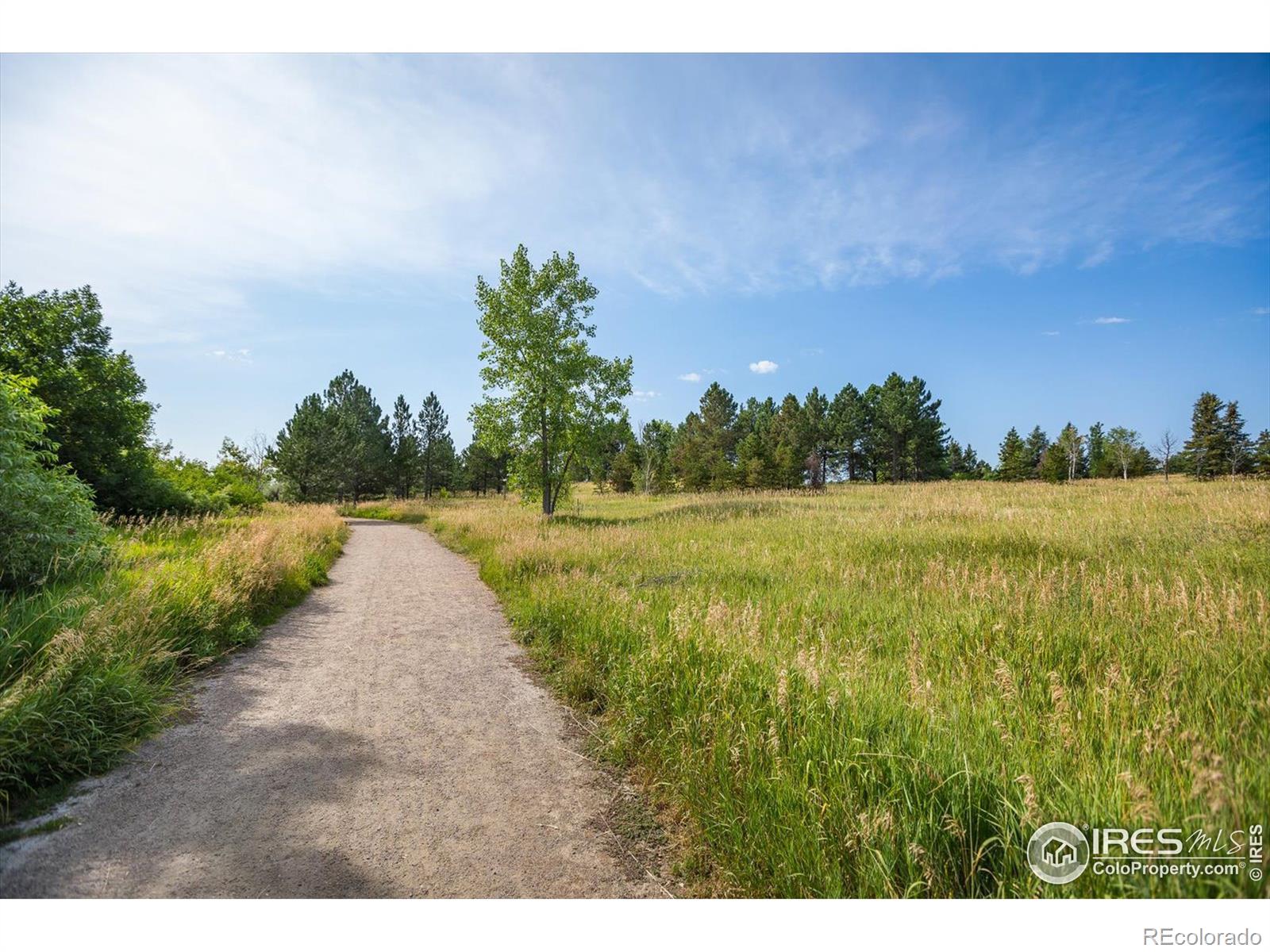 MLS Image #26 for 576 s carr street,lakewood, Colorado