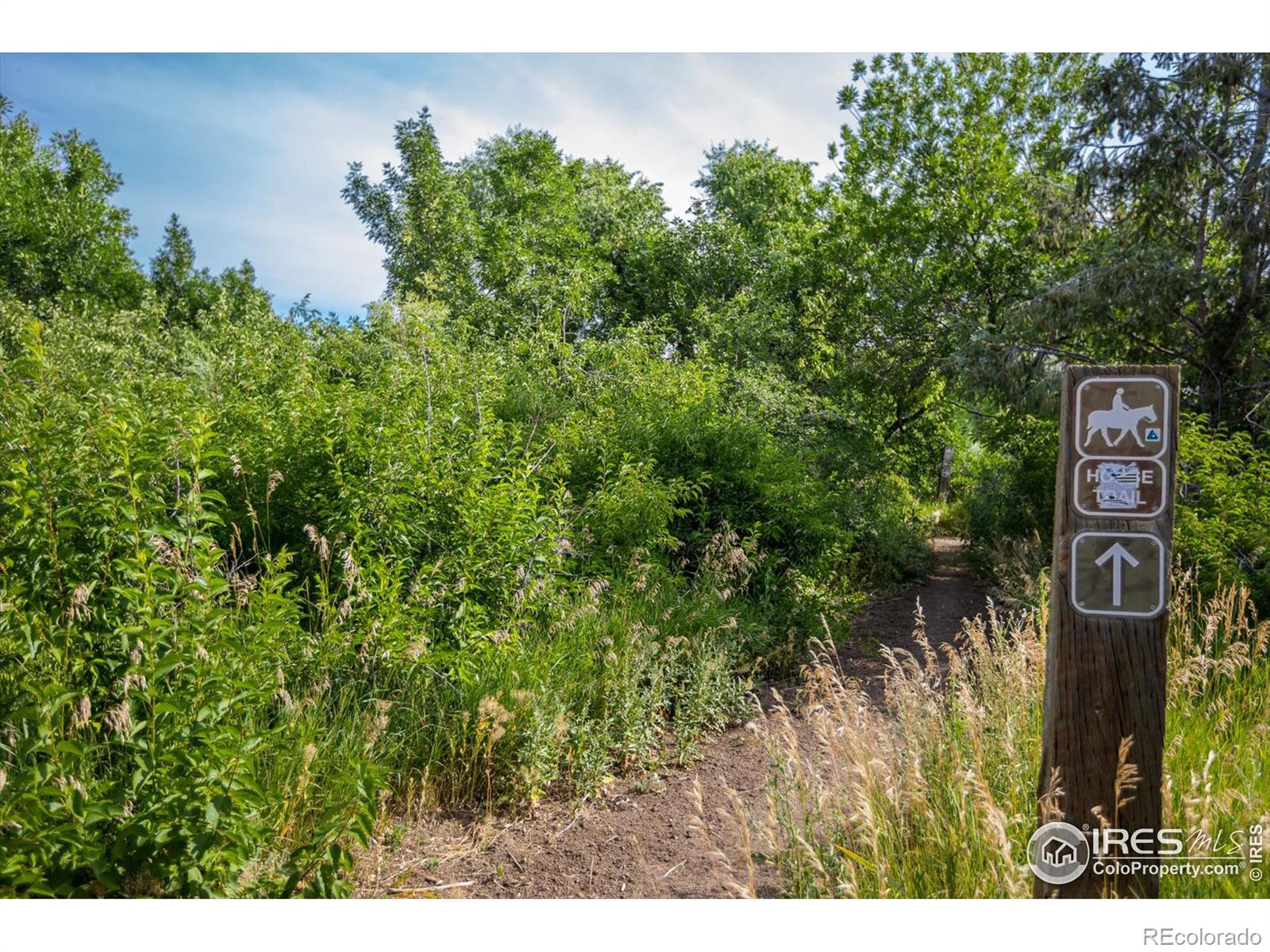 MLS Image #27 for 576 s carr street,lakewood, Colorado