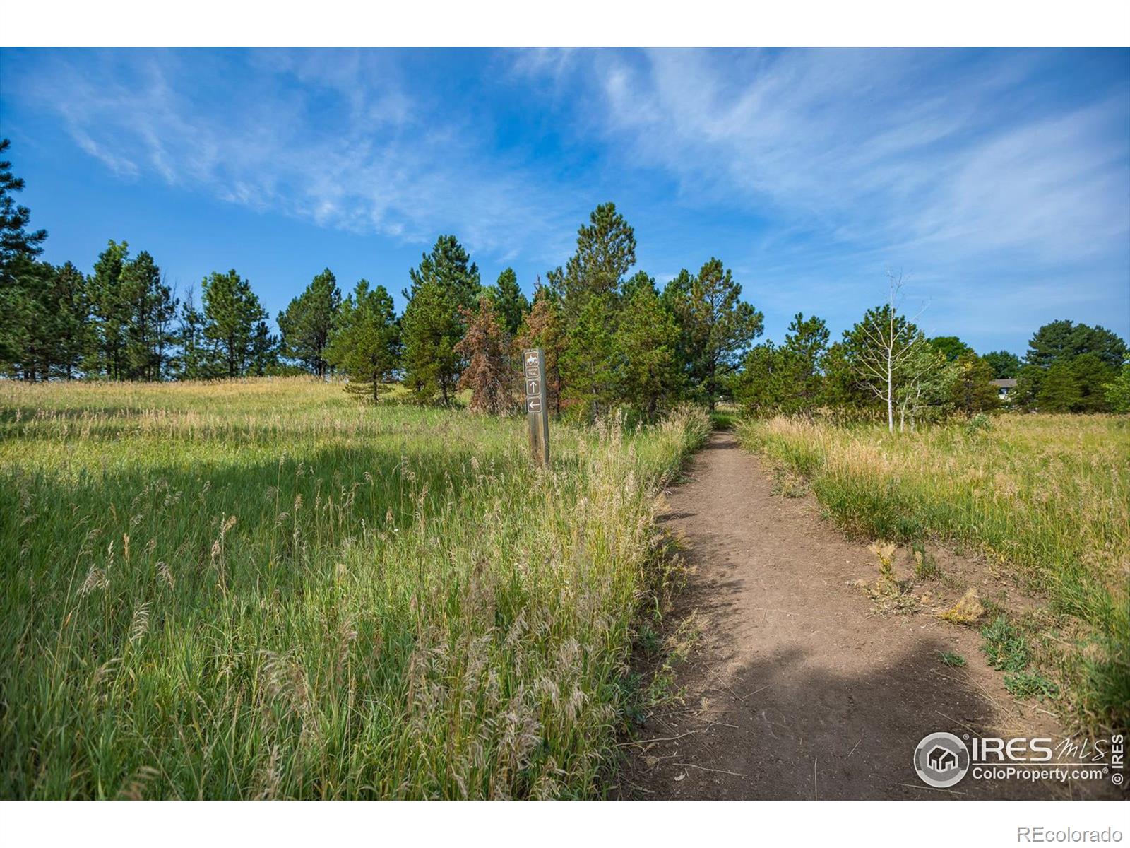 MLS Image #30 for 576 s carr street,lakewood, Colorado