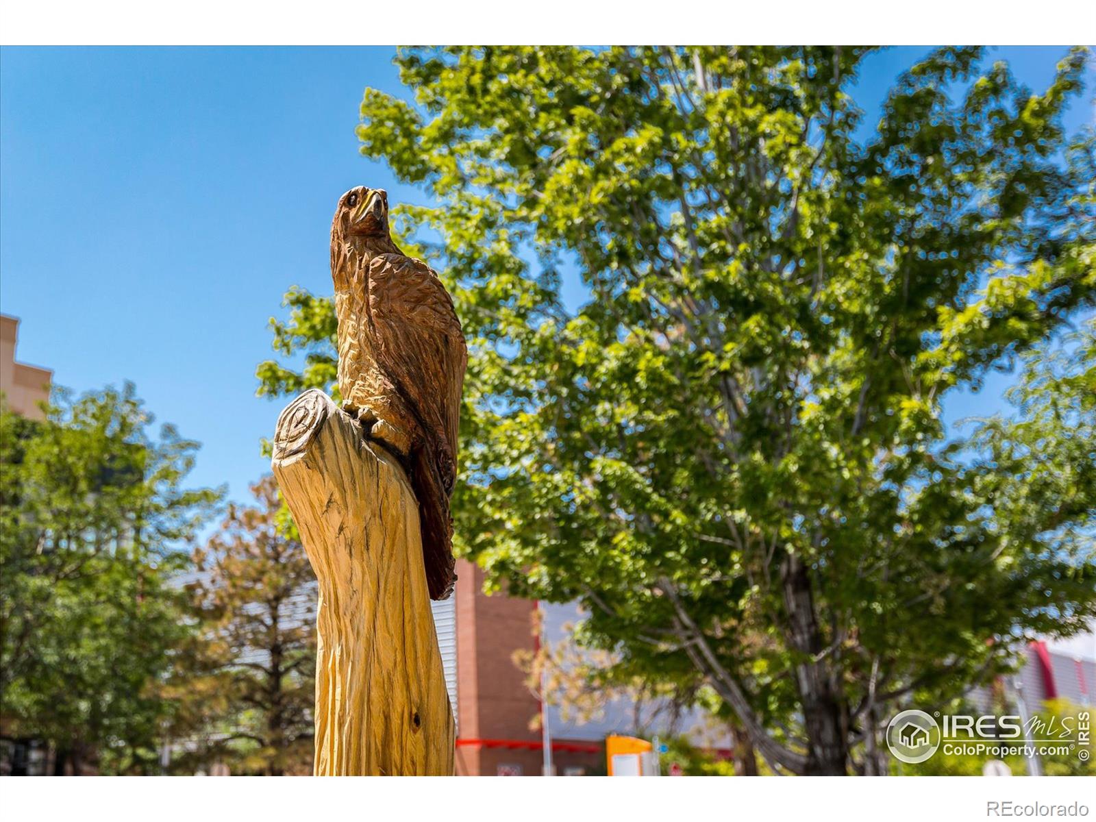 MLS Image #36 for 576 s carr street,lakewood, Colorado