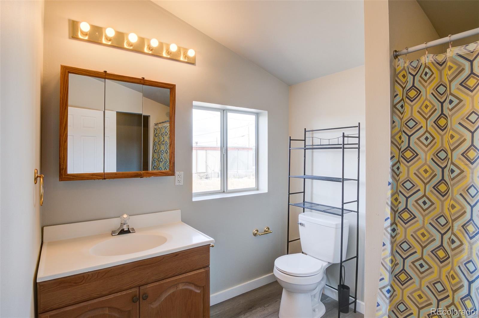 MLS Image #20 for 226 e 11th street,leadville, Colorado