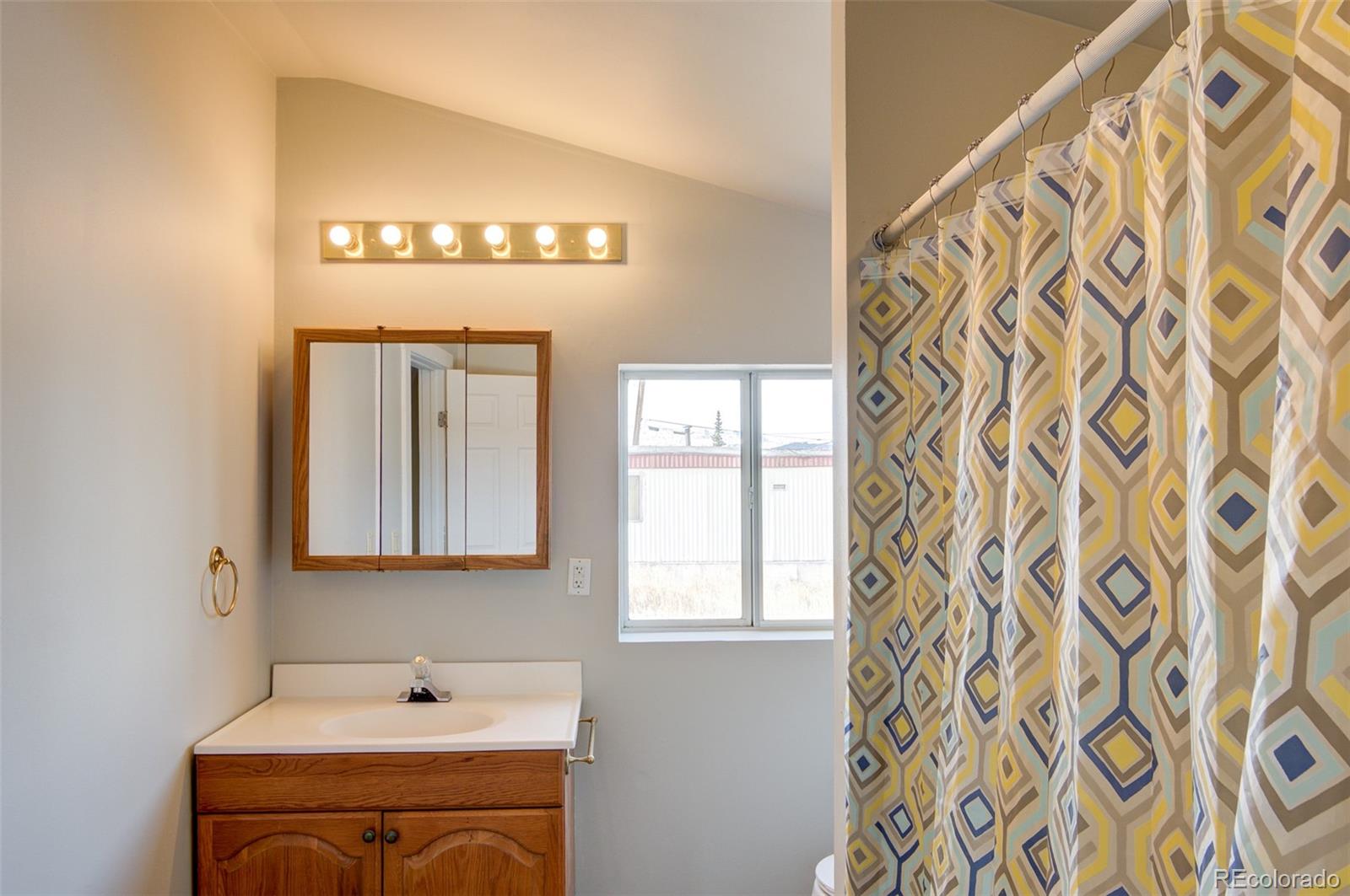 MLS Image #21 for 226 e 11th street,leadville, Colorado