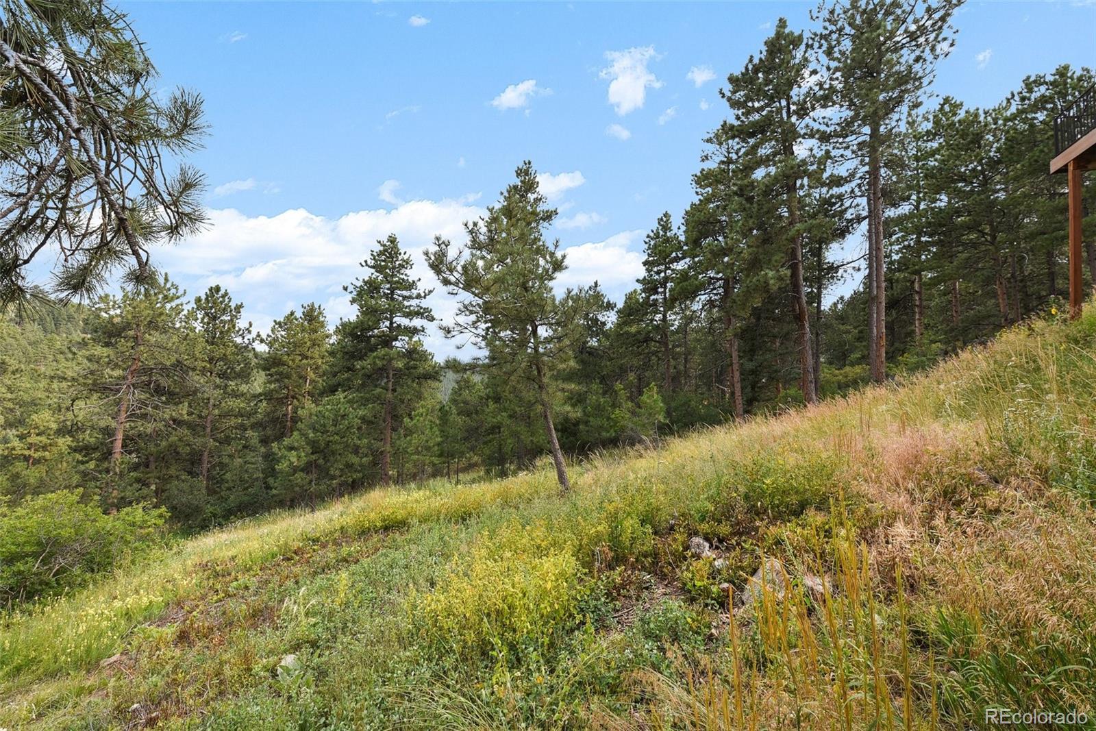 MLS Image #34 for 6333  starlight drive,morrison, Colorado