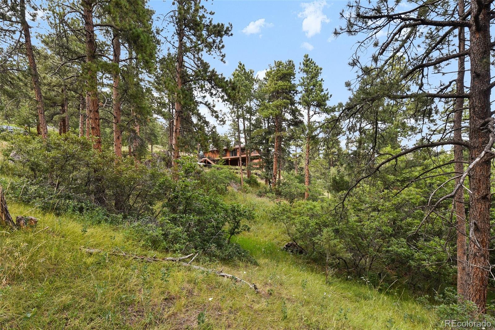 MLS Image #35 for 6333  starlight drive,morrison, Colorado