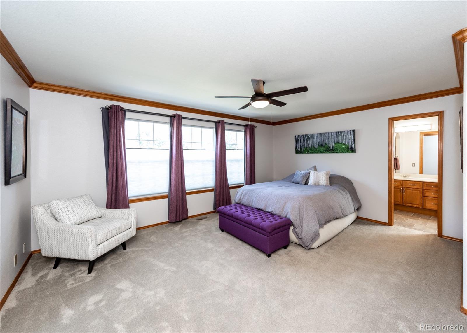 MLS Image #20 for 3825  masters drive,colorado springs, Colorado