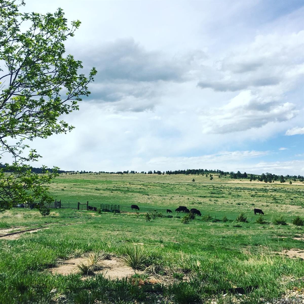 MLS Image #27 for 16125  county road 110 ,calhan, Colorado