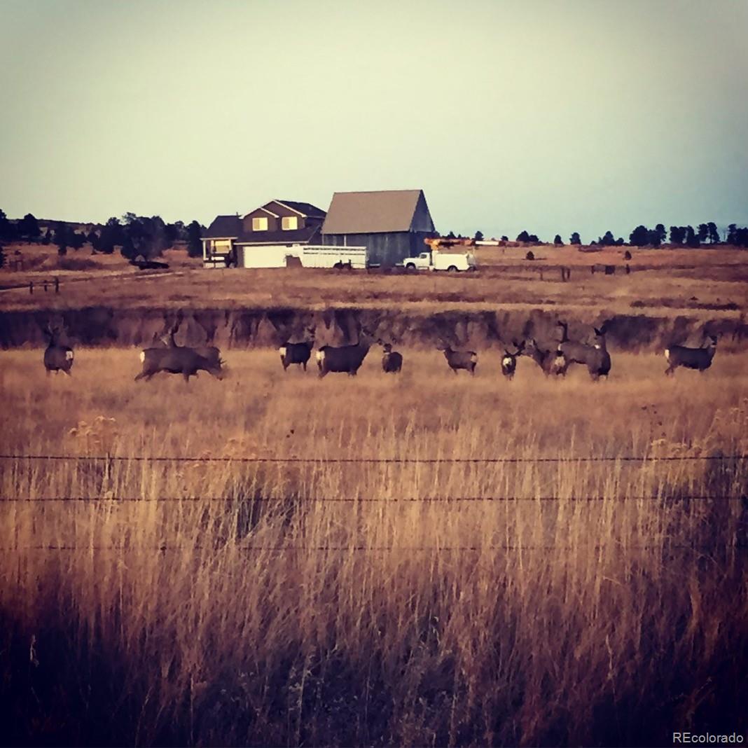 MLS Image #28 for 16125  county road 110 ,calhan, Colorado