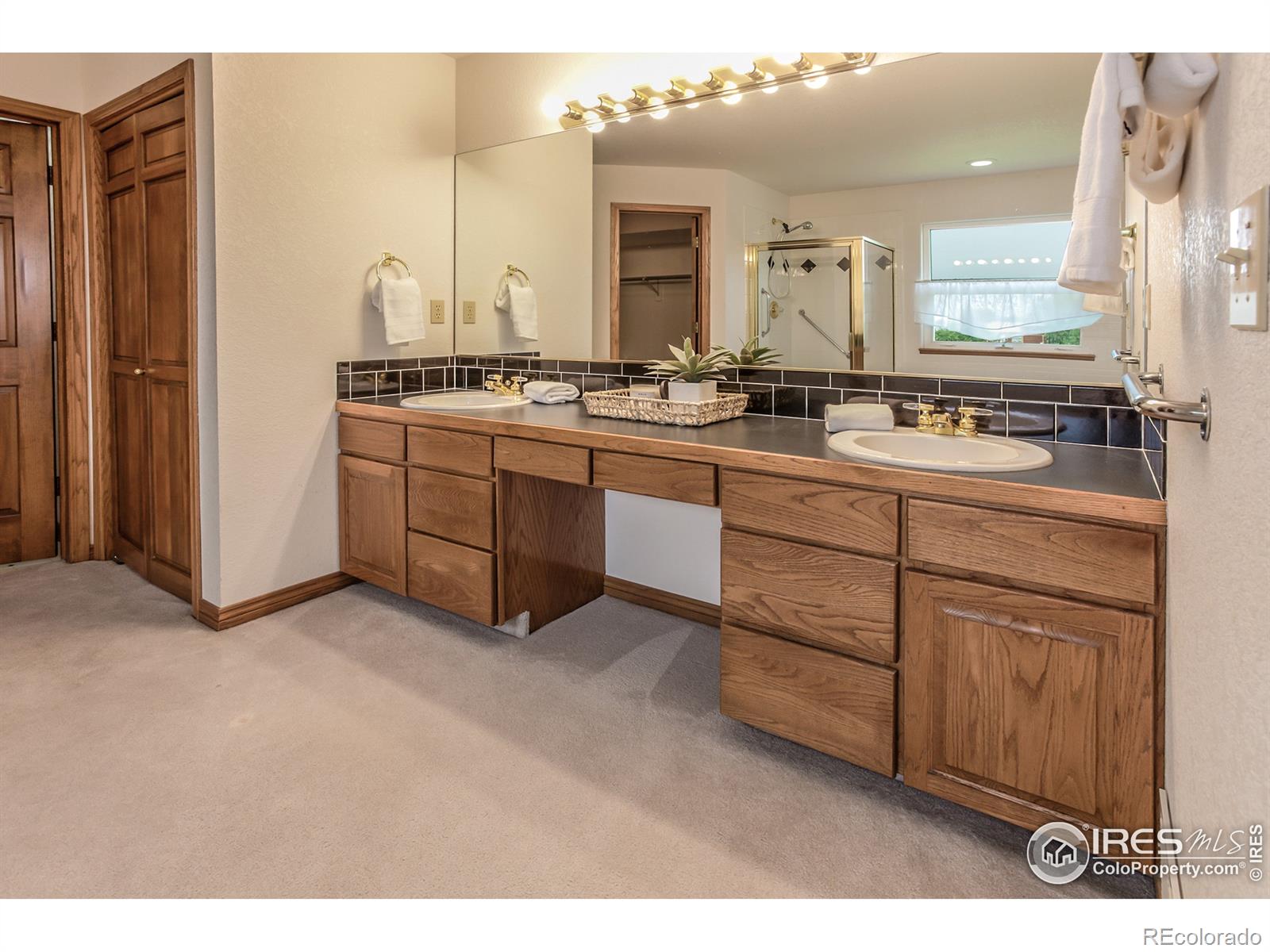 MLS Image #18 for 2631  platte place,fort collins, Colorado