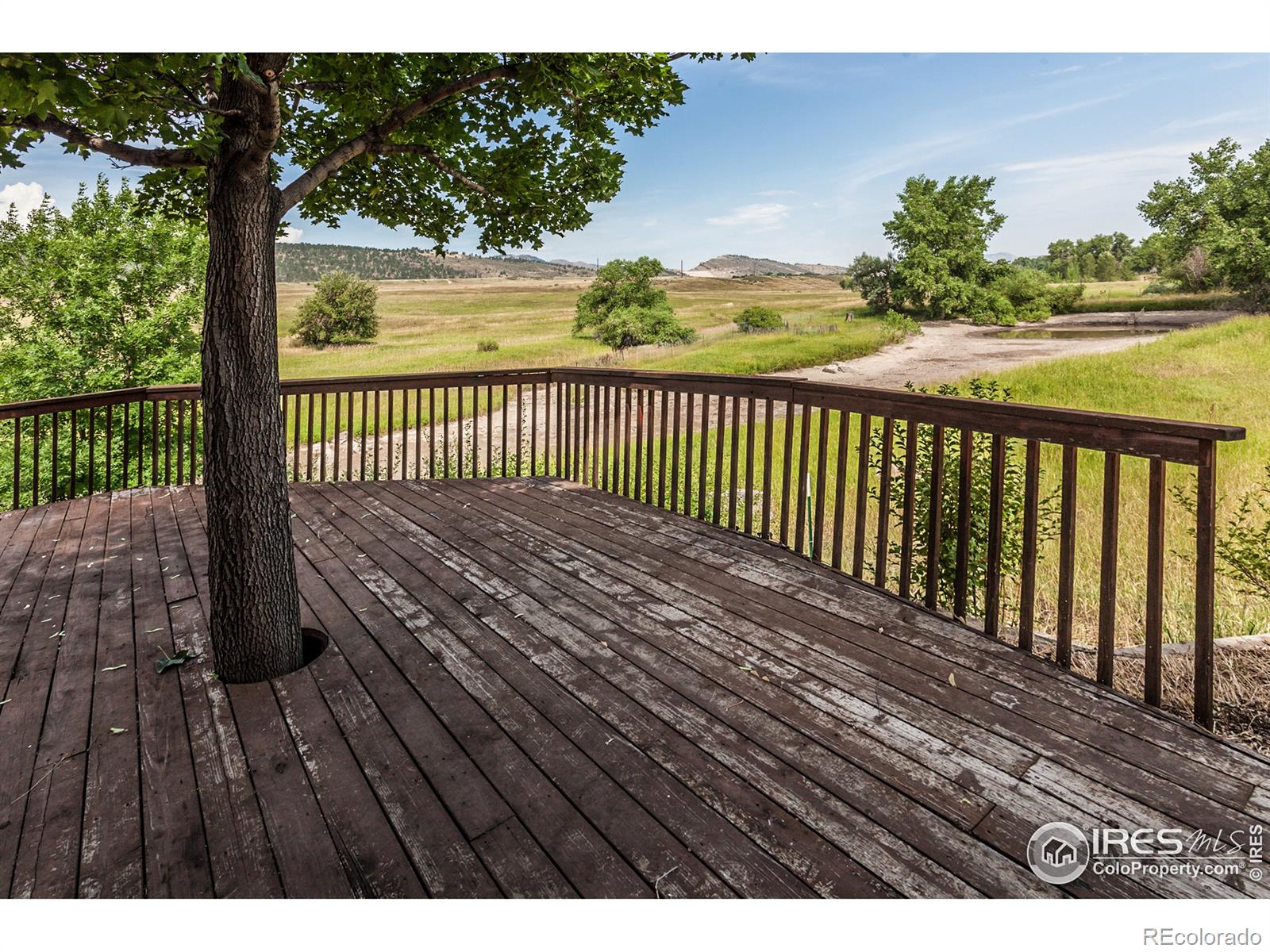 MLS Image #31 for 2631  platte place,fort collins, Colorado