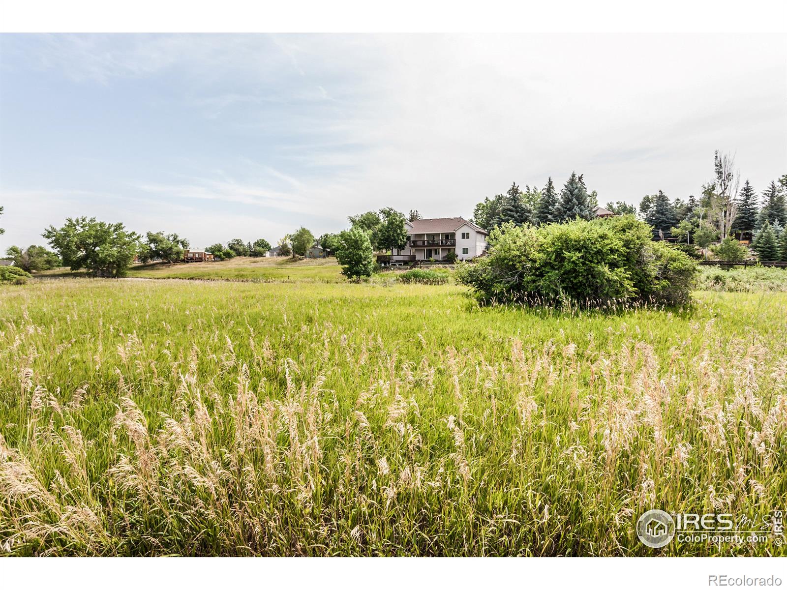 MLS Image #8 for 2631  platte place,fort collins, Colorado