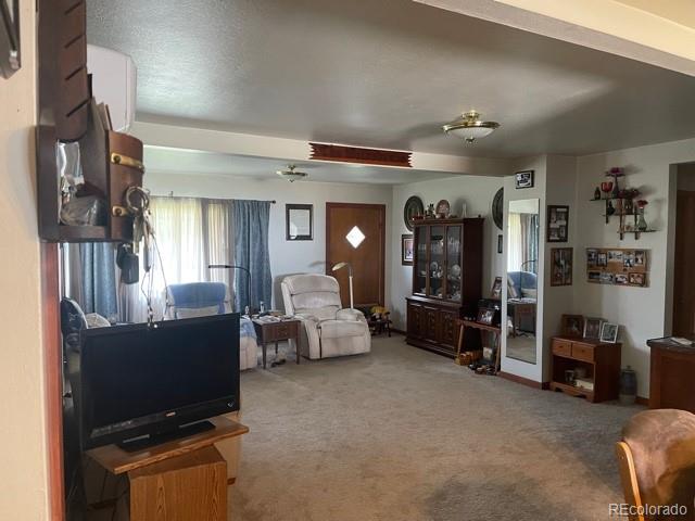 MLS Image #12 for 9111  county road cc.9 ,idalia, Colorado