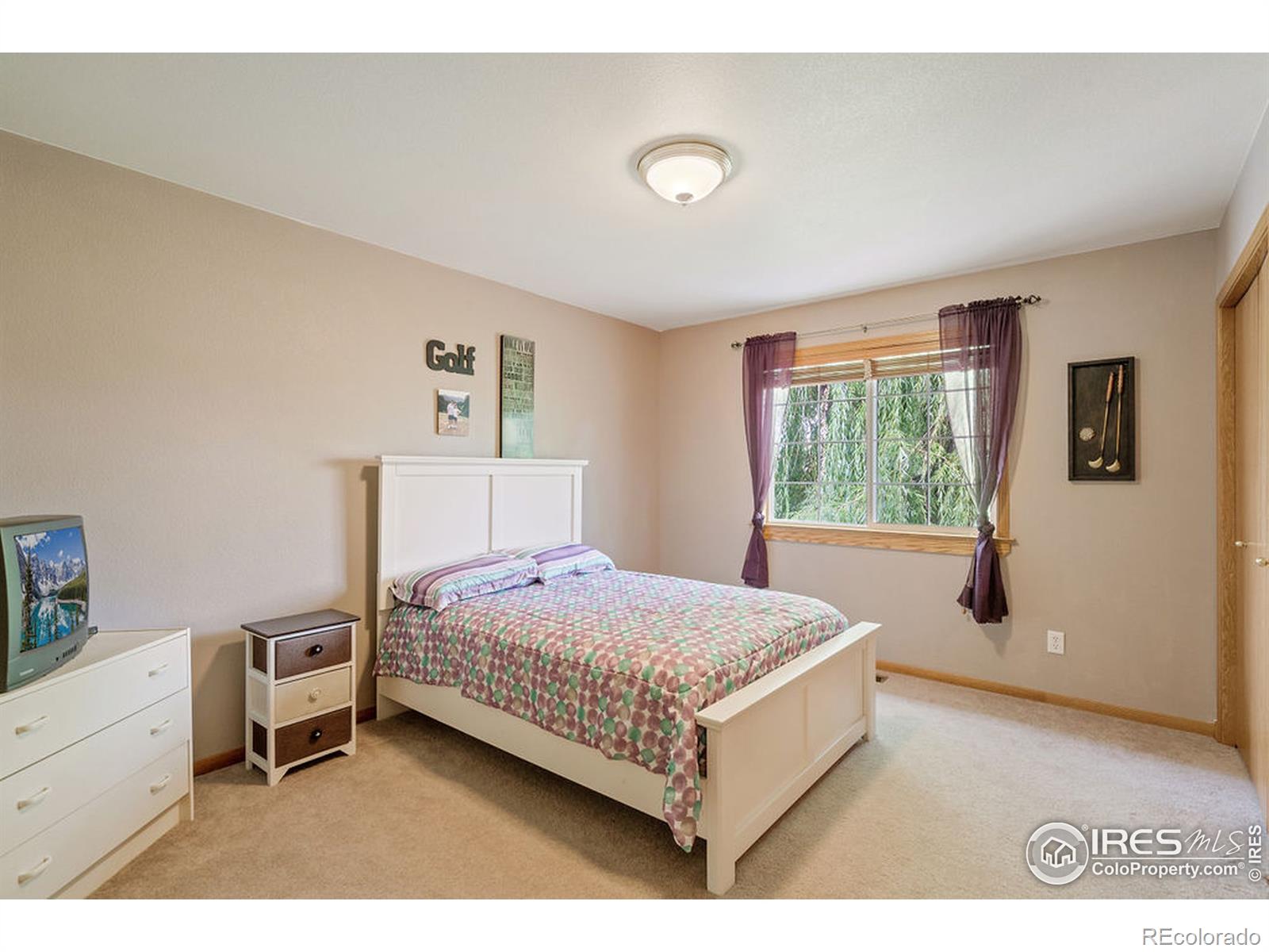 MLS Image #17 for 4023  stoneham drive,loveland, Colorado