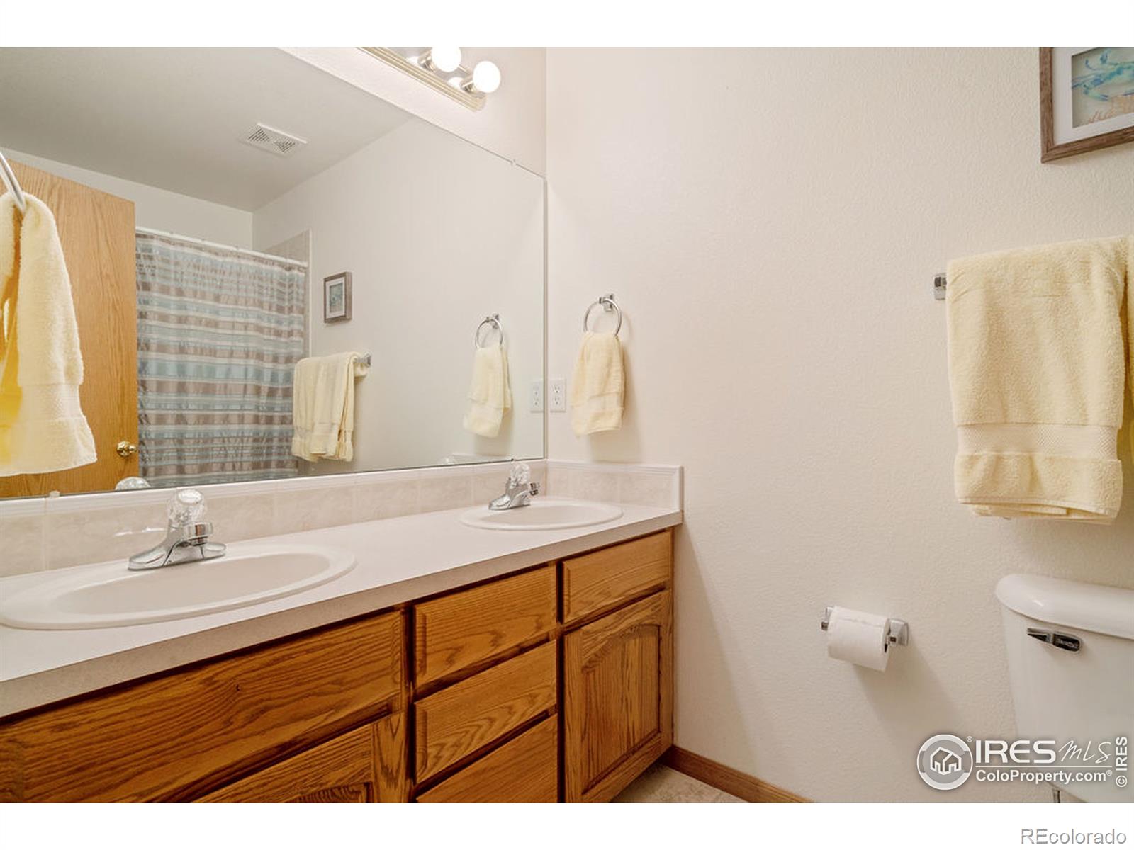 MLS Image #19 for 4023  stoneham drive,loveland, Colorado