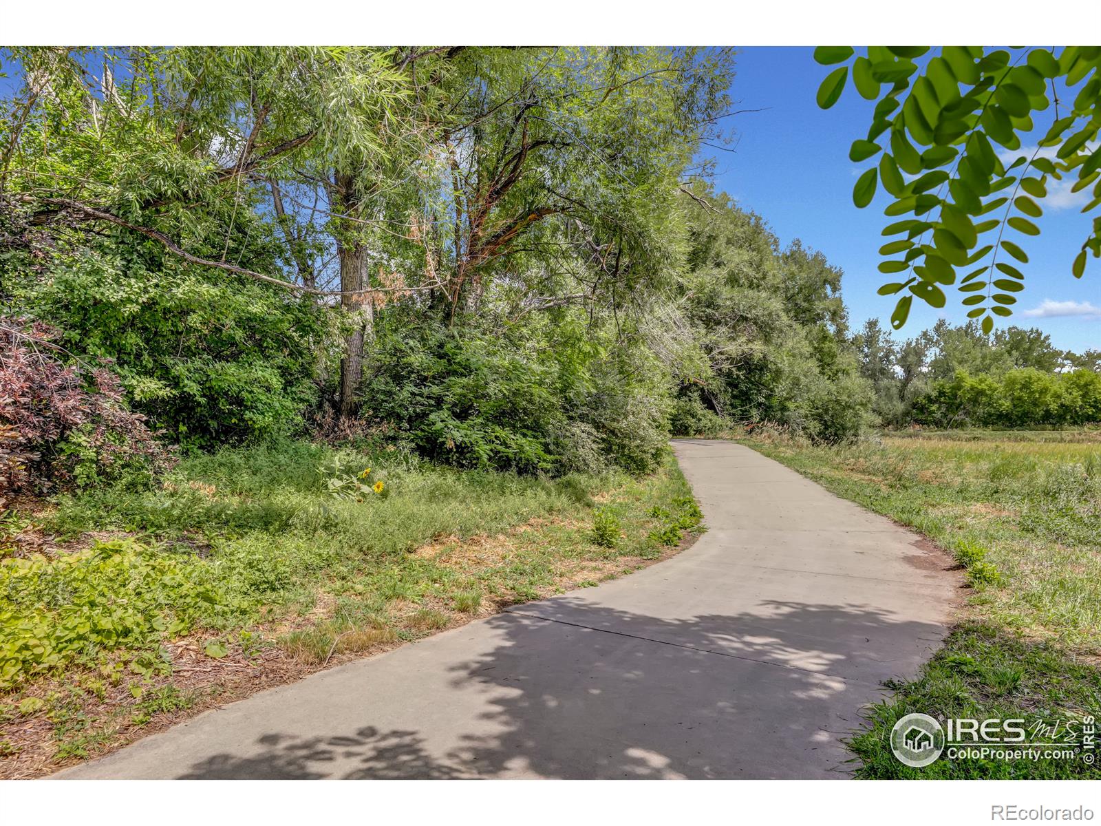 MLS Image #31 for 4896  hopkins place,boulder, Colorado