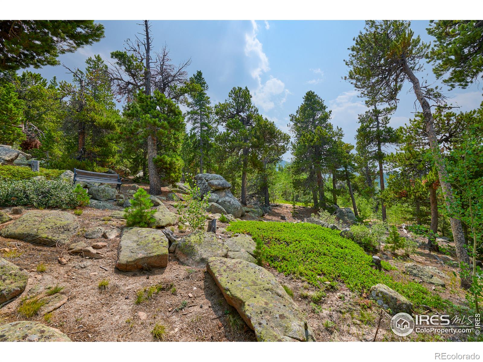 MLS Image #18 for 20  dancing star lane,black hawk, Colorado