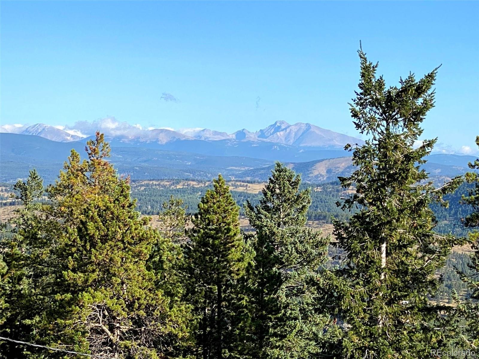 MLS Image #23 for 79  woodbine place,pinecliffe, Colorado