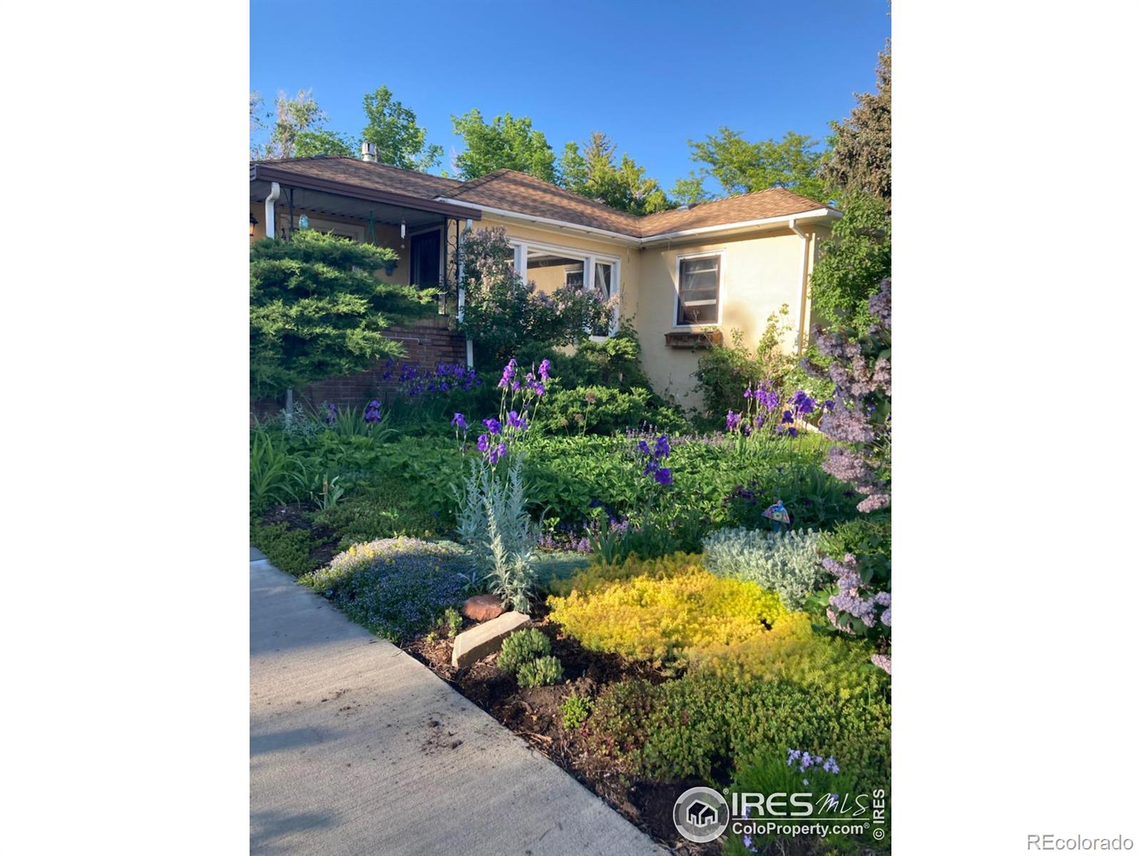 Report Image for 420  Parker Street,Fort Collins, Colorado